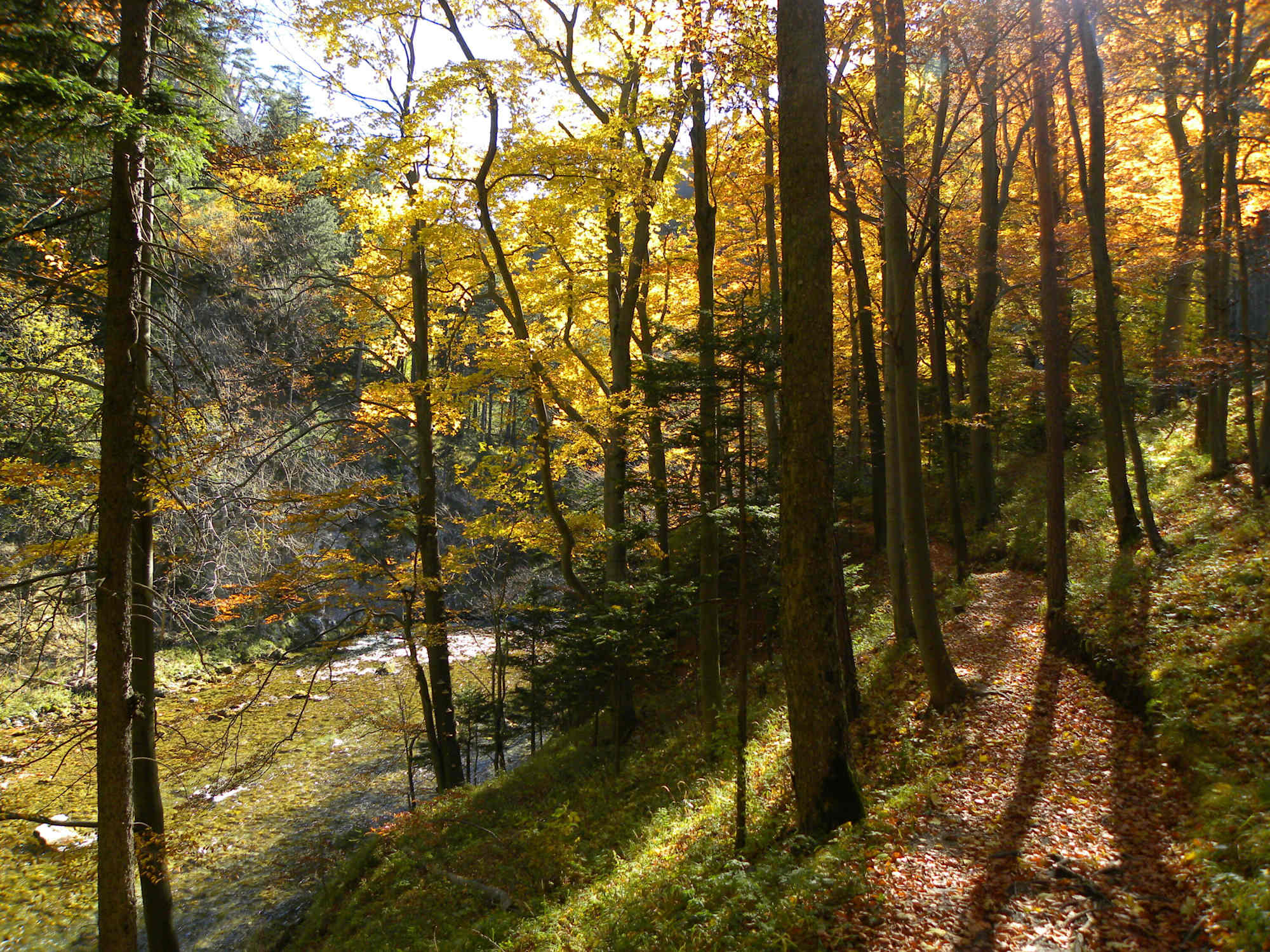 Höllental Wasserweg
