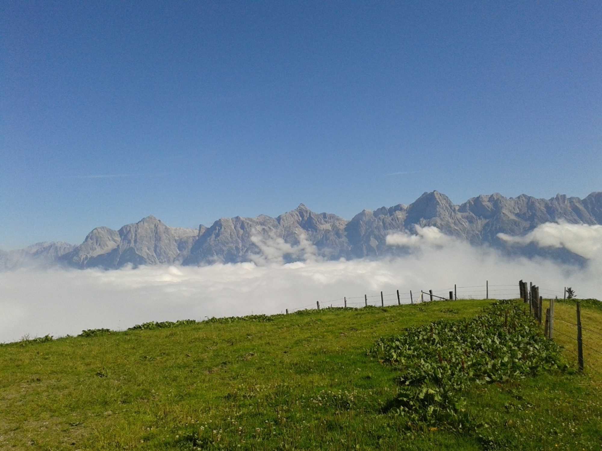 Panorama Langegg