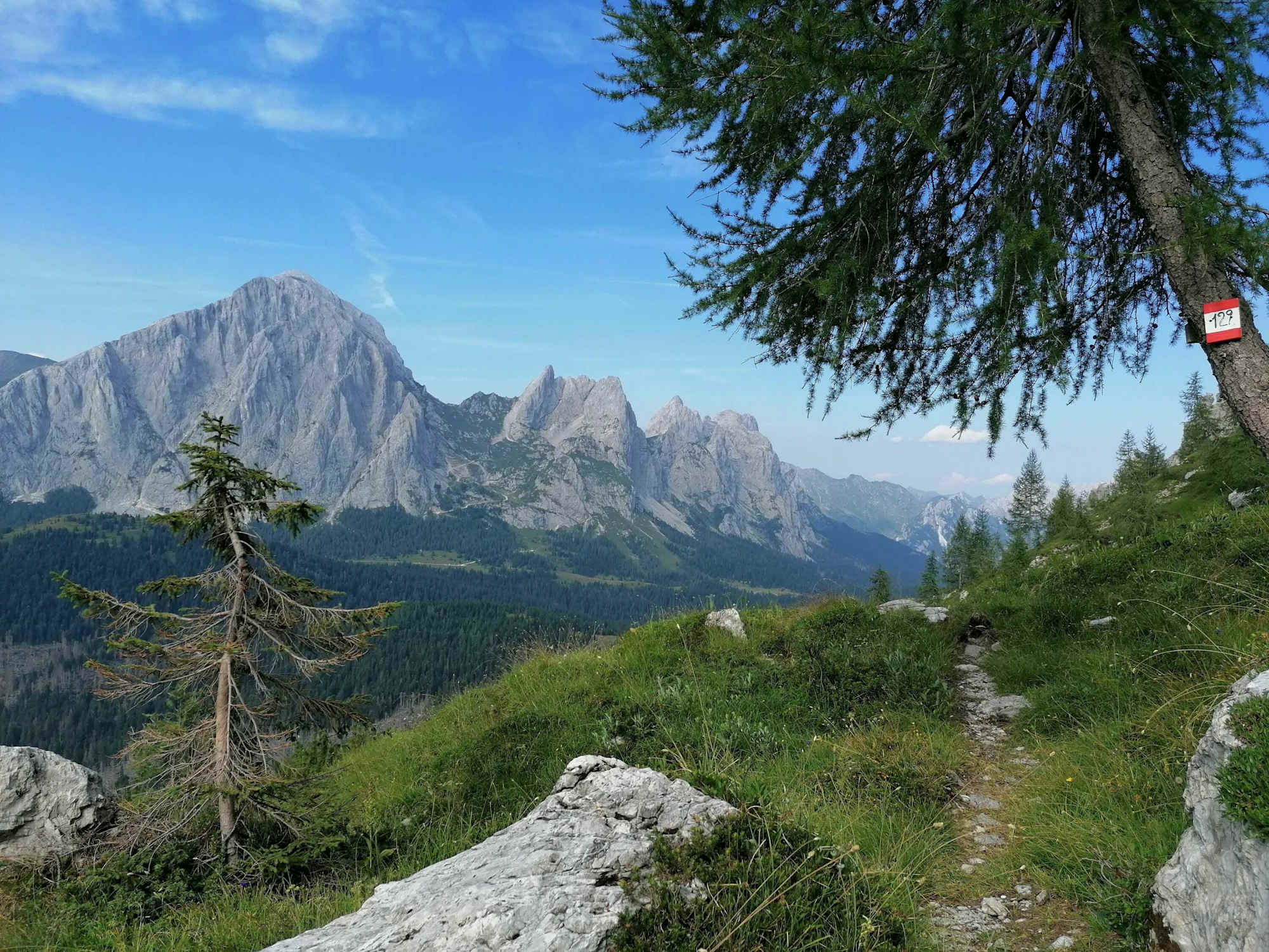 am Wanderpfad in das Val Disesis - Sicht auf die Grenzberge zu Österreich: M. Peralba und M. Avanza - Südwestansicht