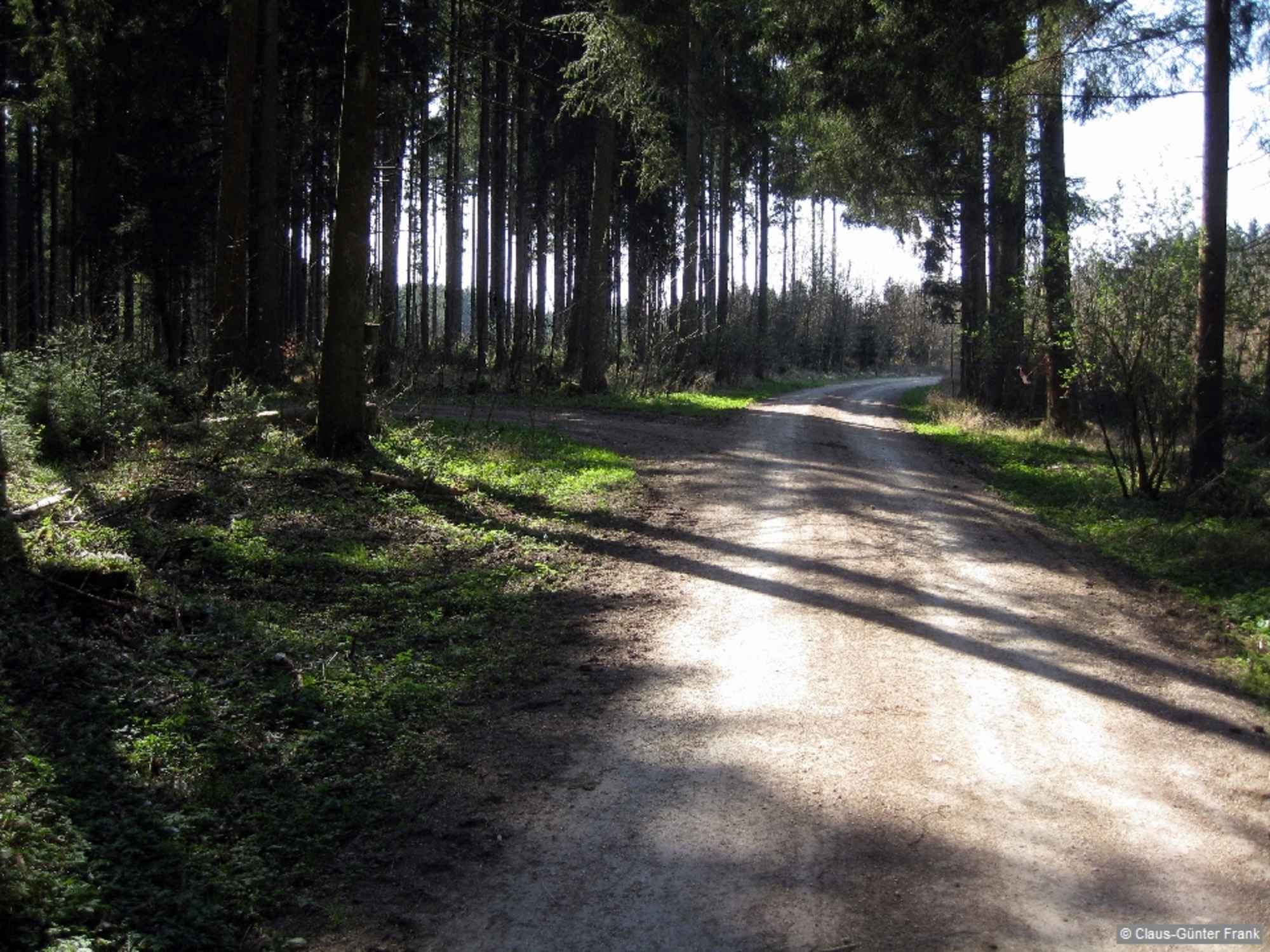 Bei mehreren T-Kreuzungen halten wir uns rechts, bis wir bei einem Wegdreieck nach links gehen.