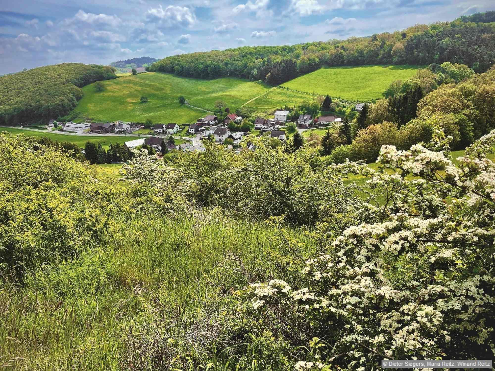 Auf dem Weg zum Eulenberg mit Blick auf Vollem.