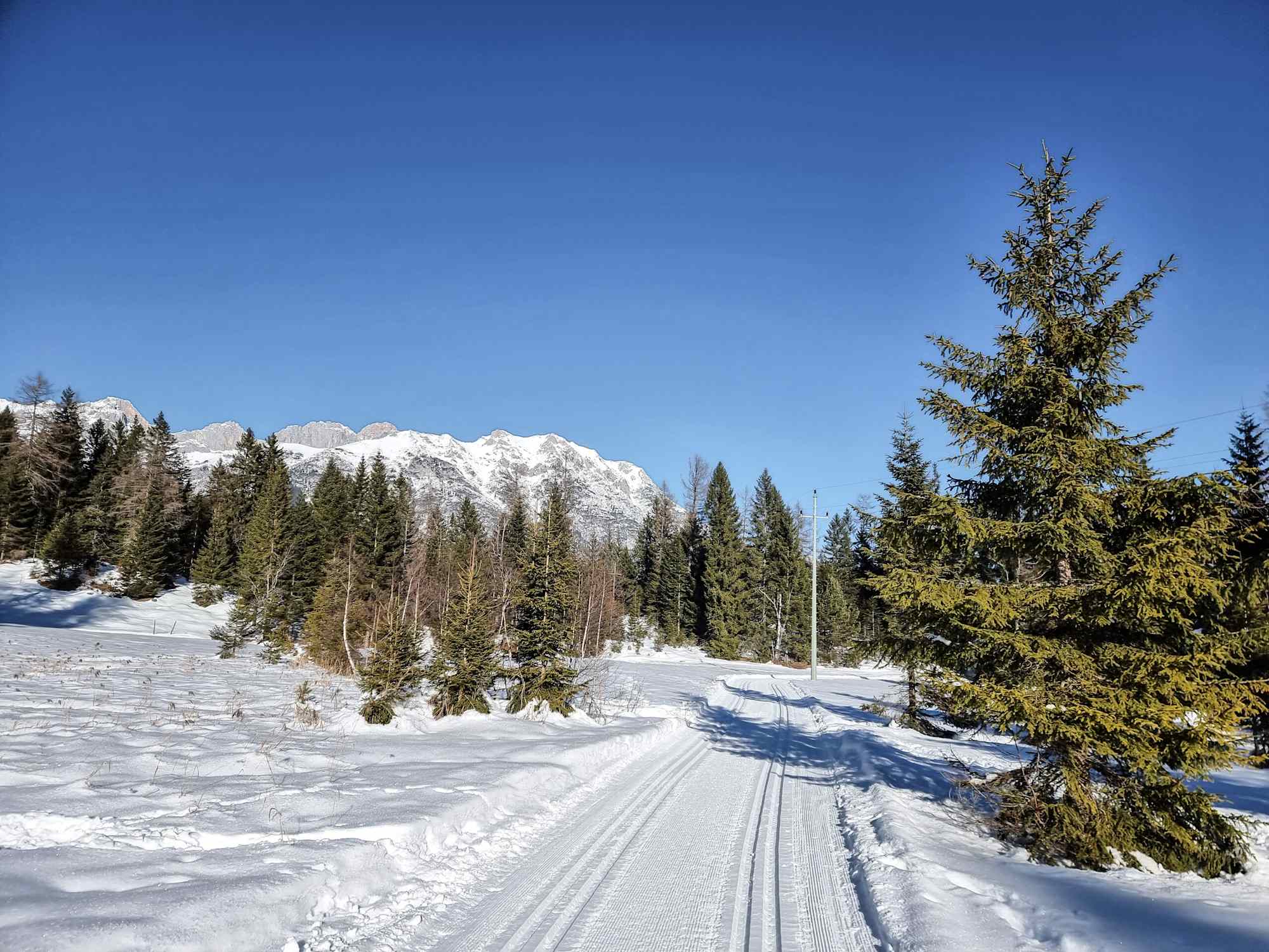 Katzenloch-Loipe B5 (Klassisch) - Blick auf das Wettersteingebirge