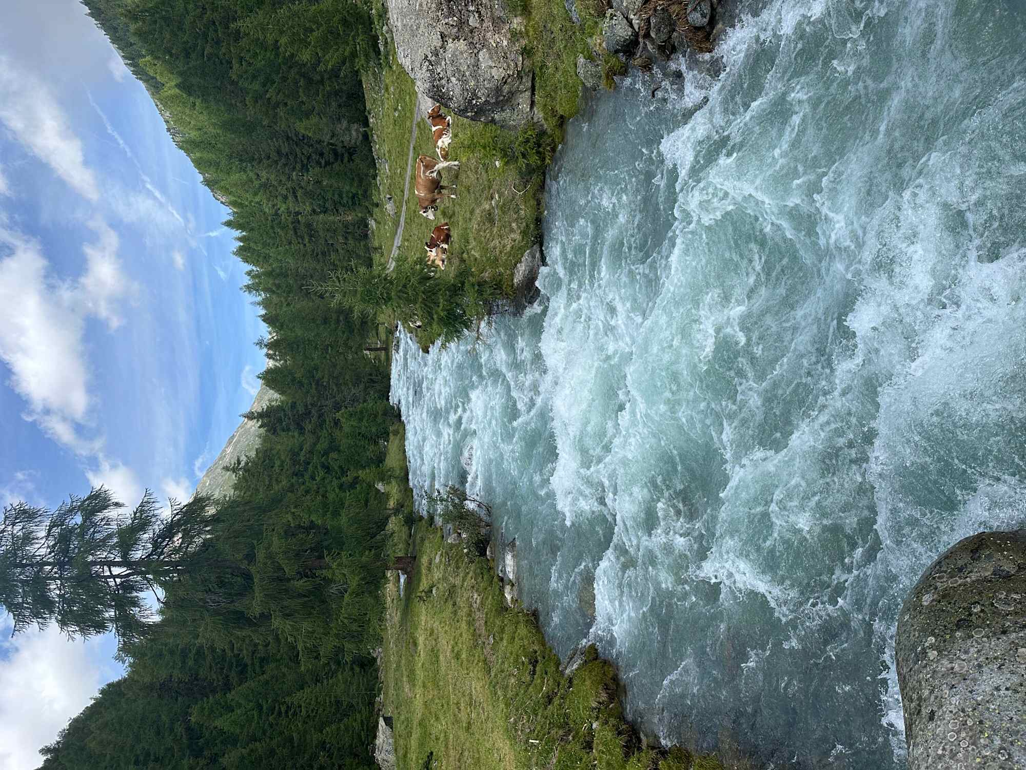Durch das Val Susauna