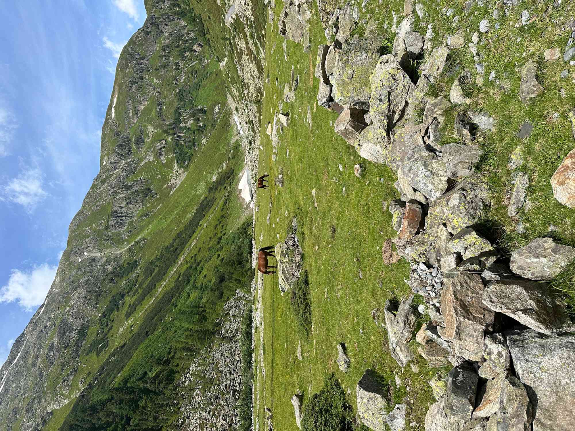 Durch das Val Susauna