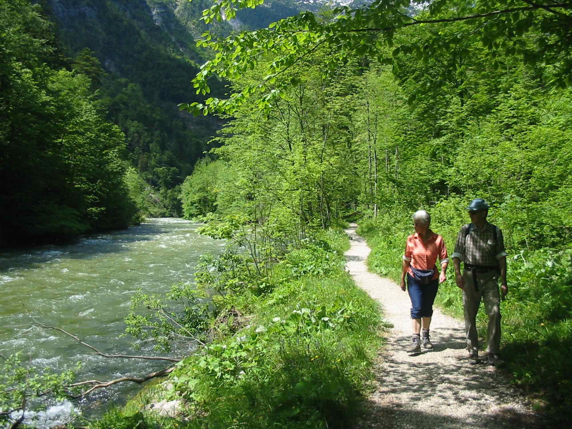Am Koppentalwanderweg
