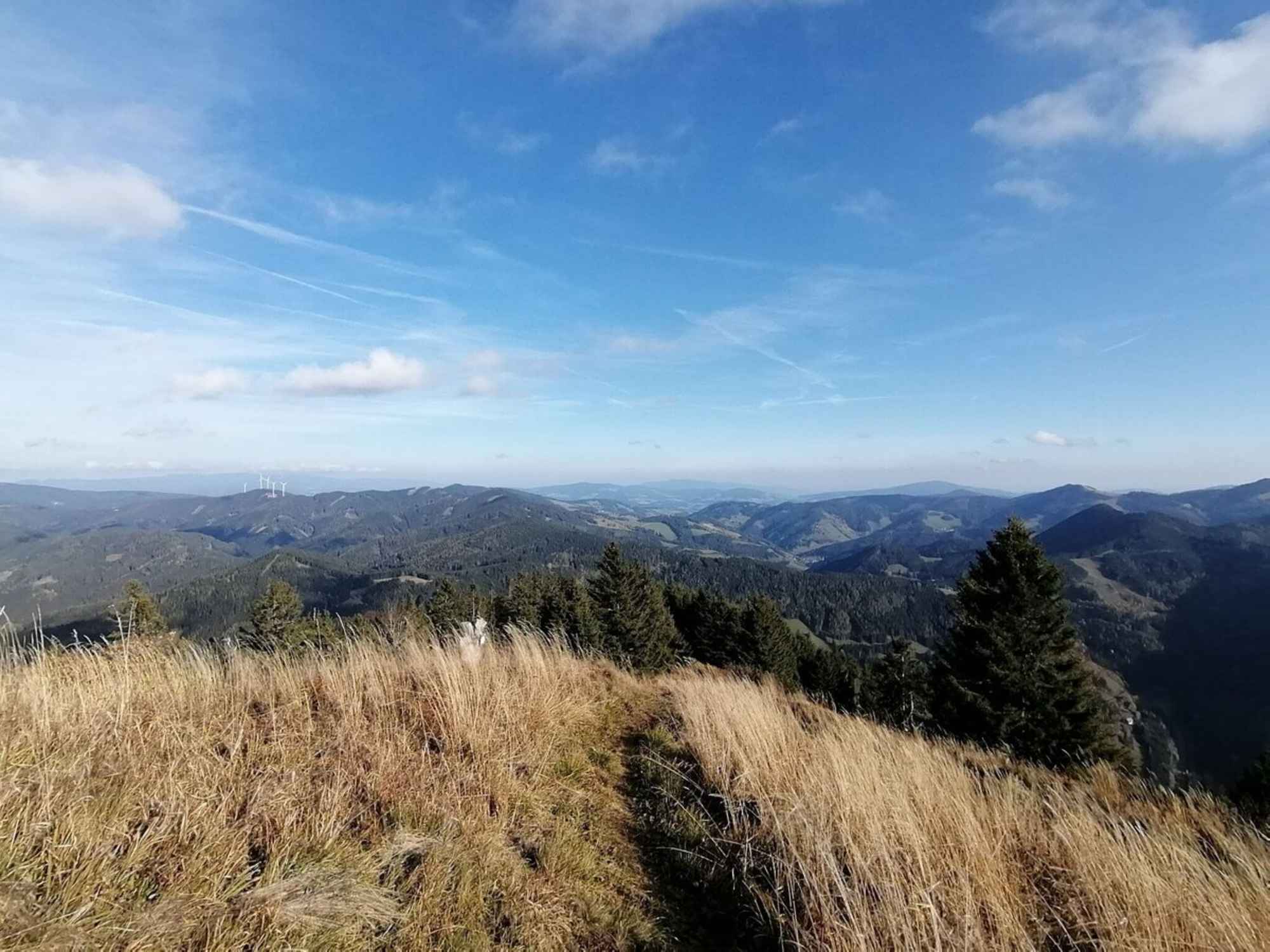 Aussicht vom Hochschlag