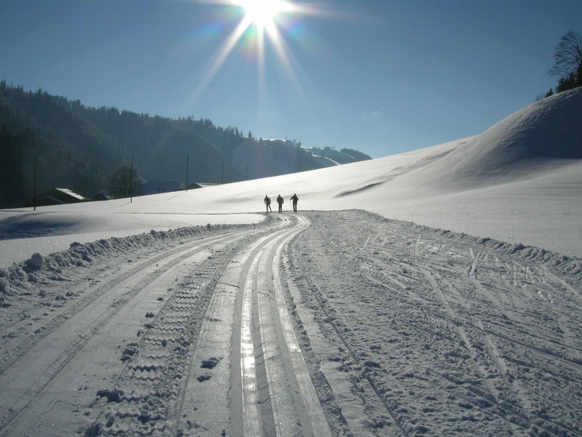 Auf der Loipe zwischen Langnau und Trubschachen