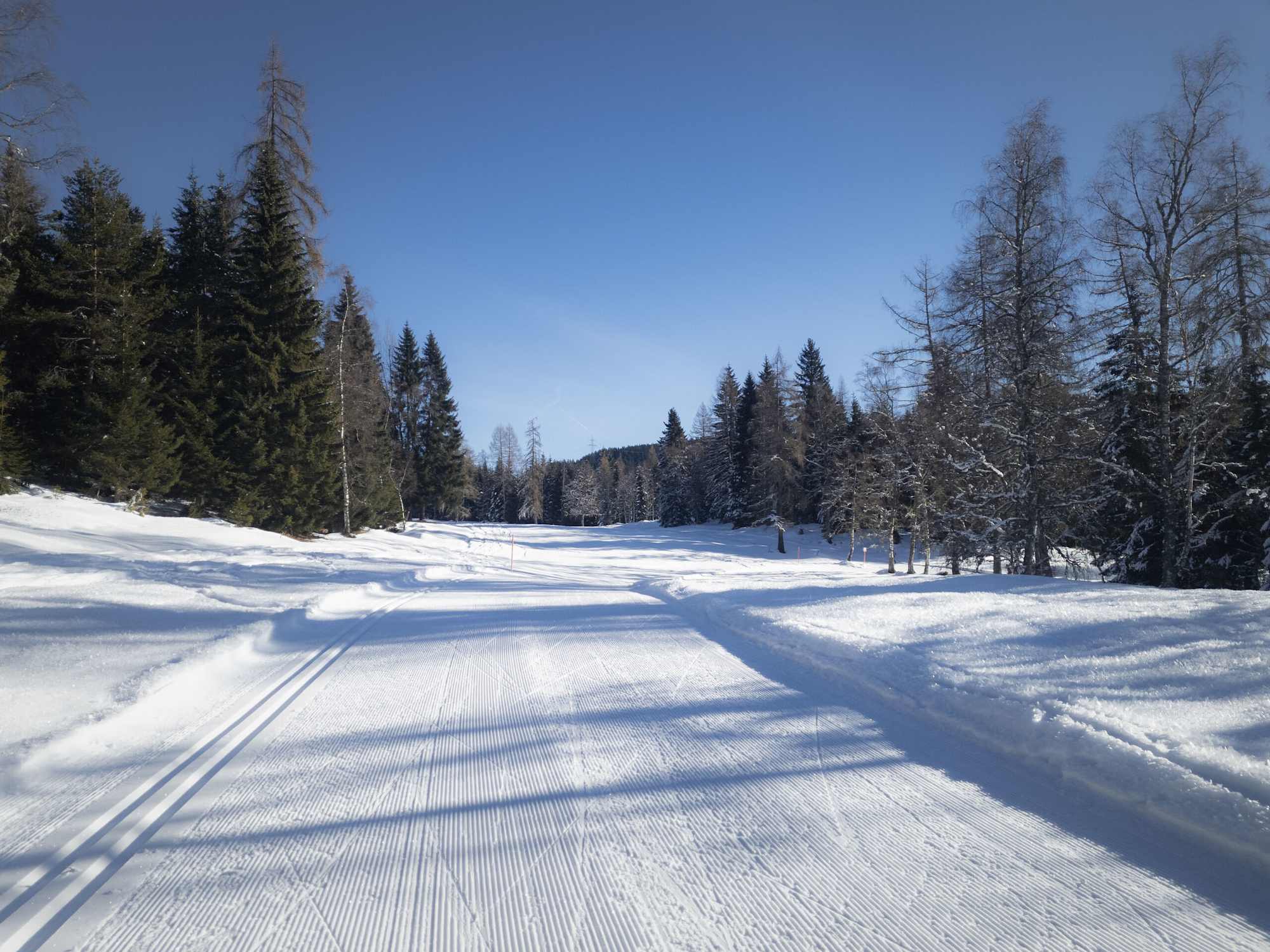 Langlauflopie C6 Buchen