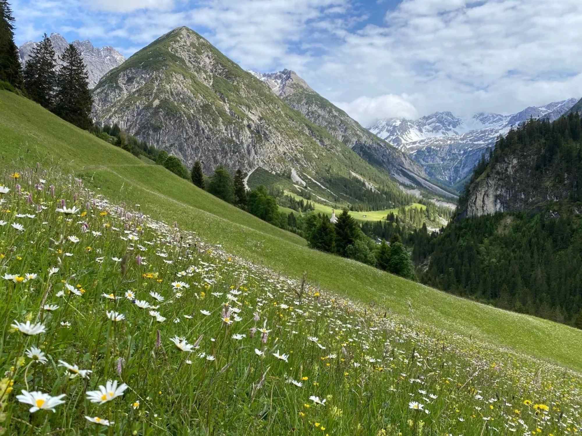 Schöne Aussicht vom Lechi Weg