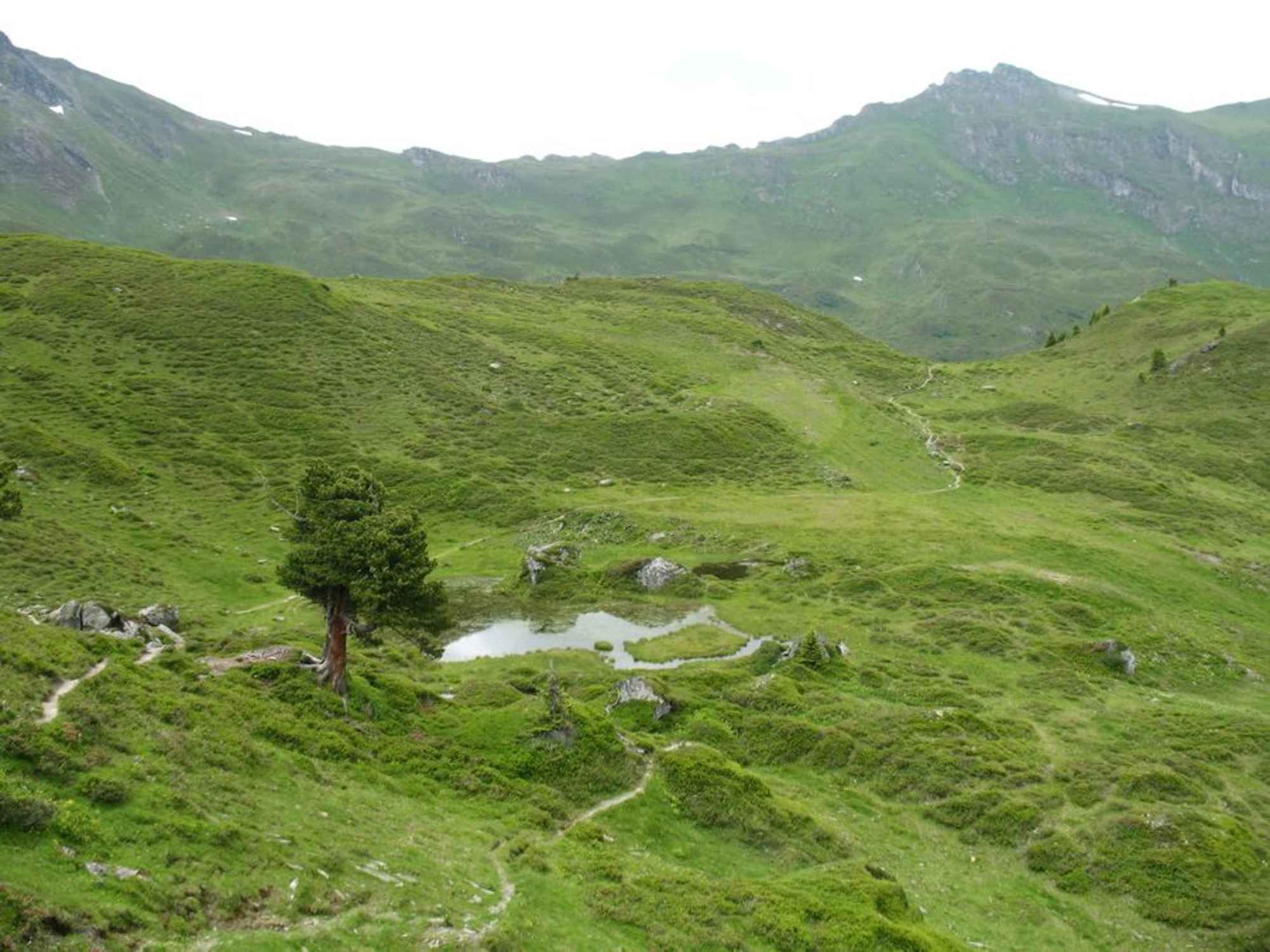 Wanderung zur Leidalm