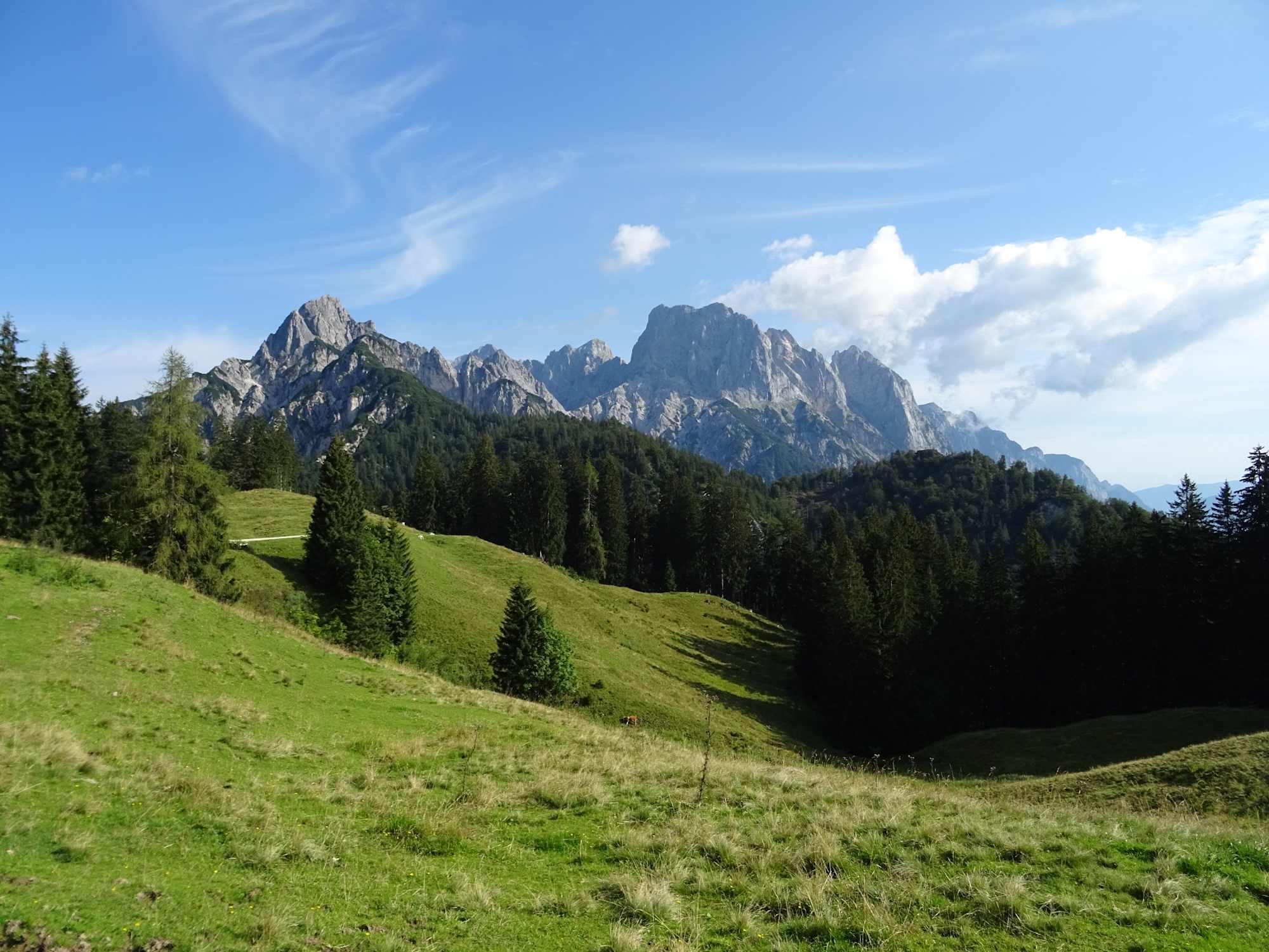 Die Litzlalm