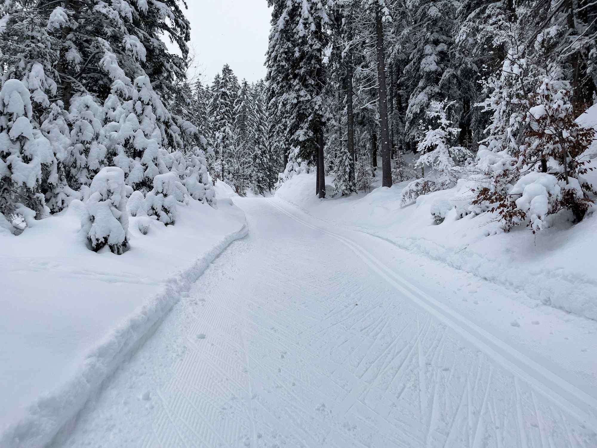 Loipe C10 Mundeknie bei Neuschnee