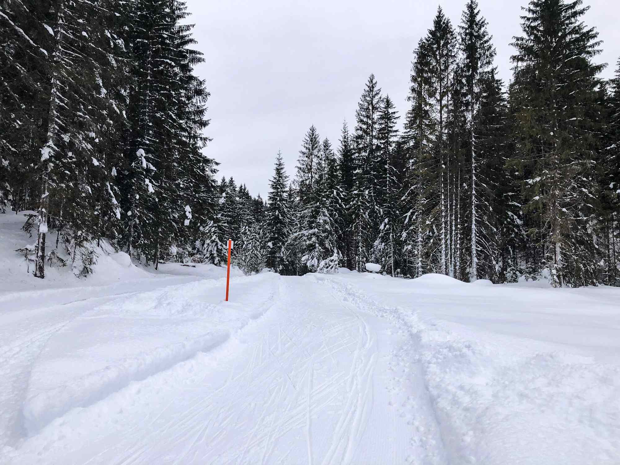 Loipe Scharnitz Bodenalm