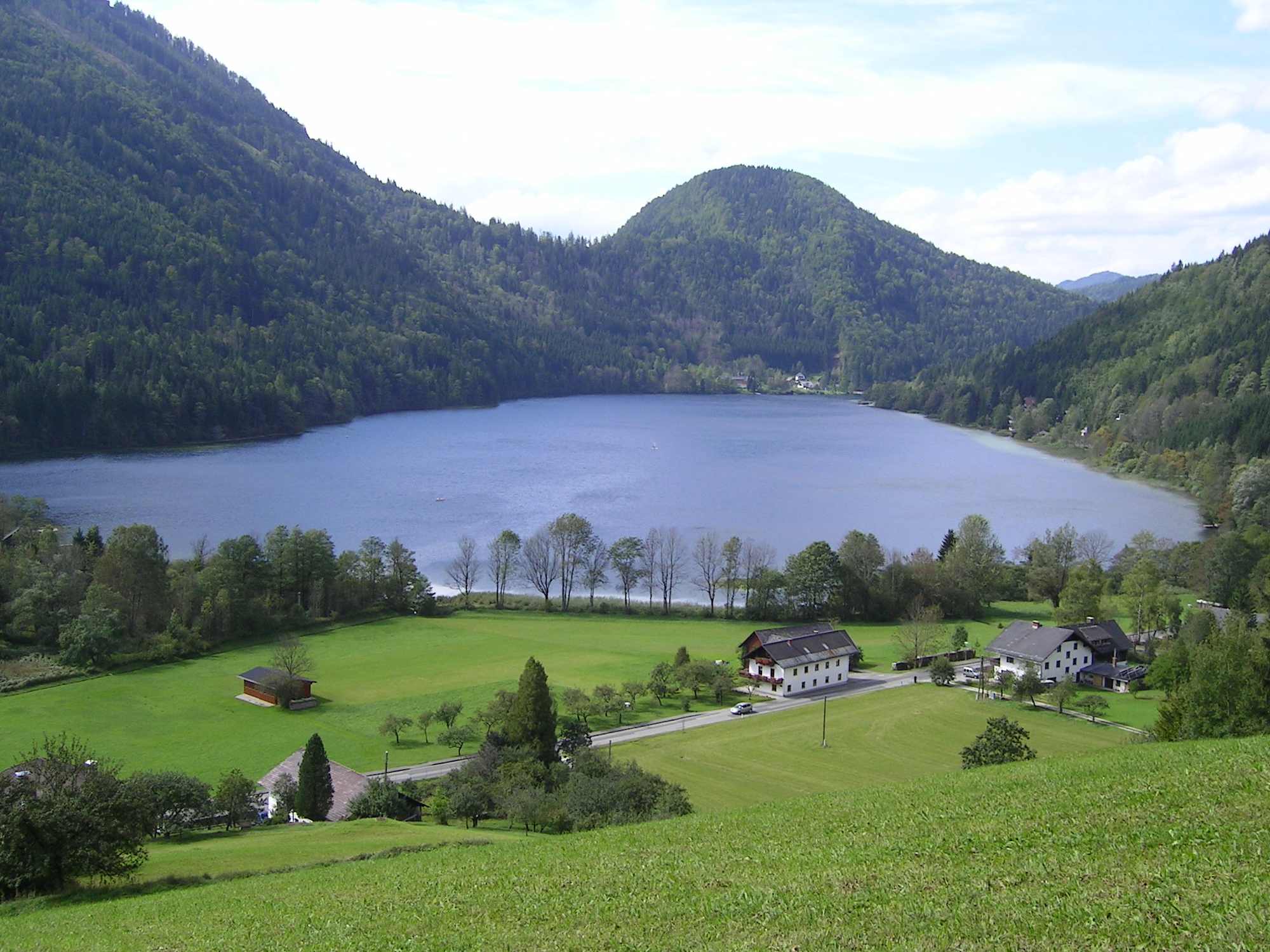 Blick auf den Lunzer See