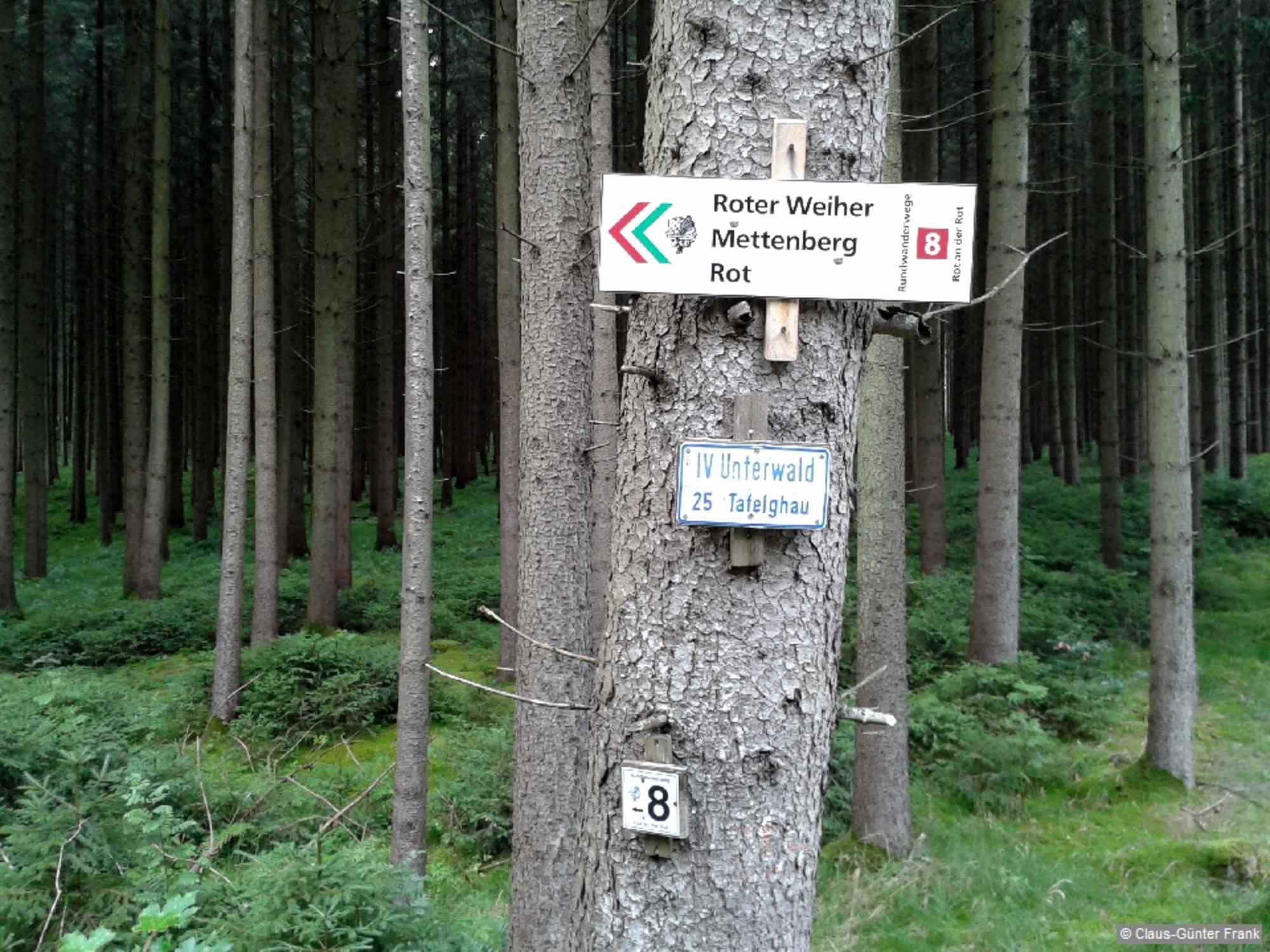 Bald folgen wir dem Wegweiser nach links in den Wald.