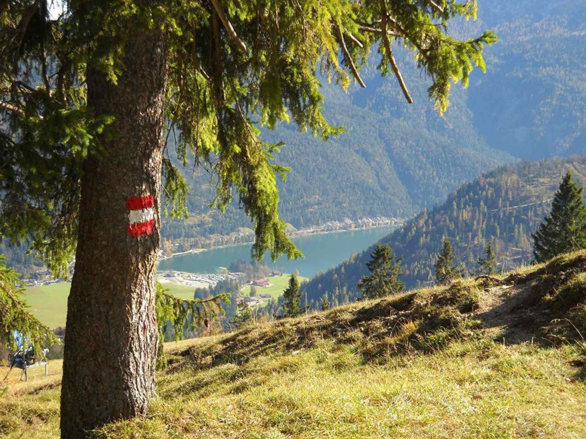 Auf dem Weg zur Moosenalm genießt man einen schönen Blick auf den Achensee.