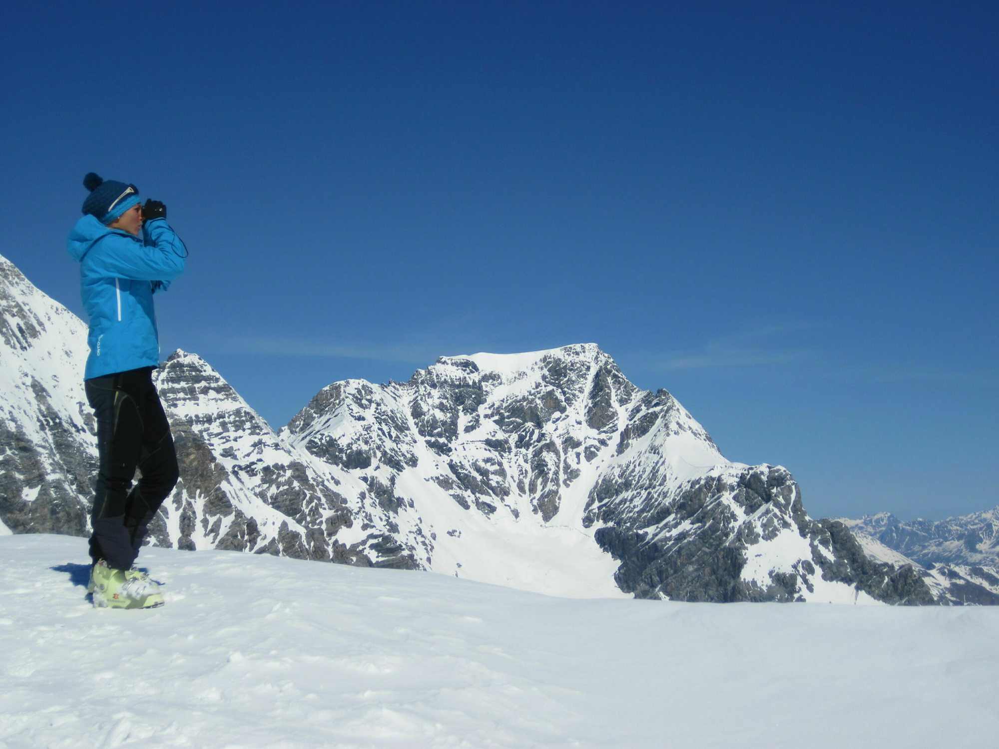 Blick zum Ortler