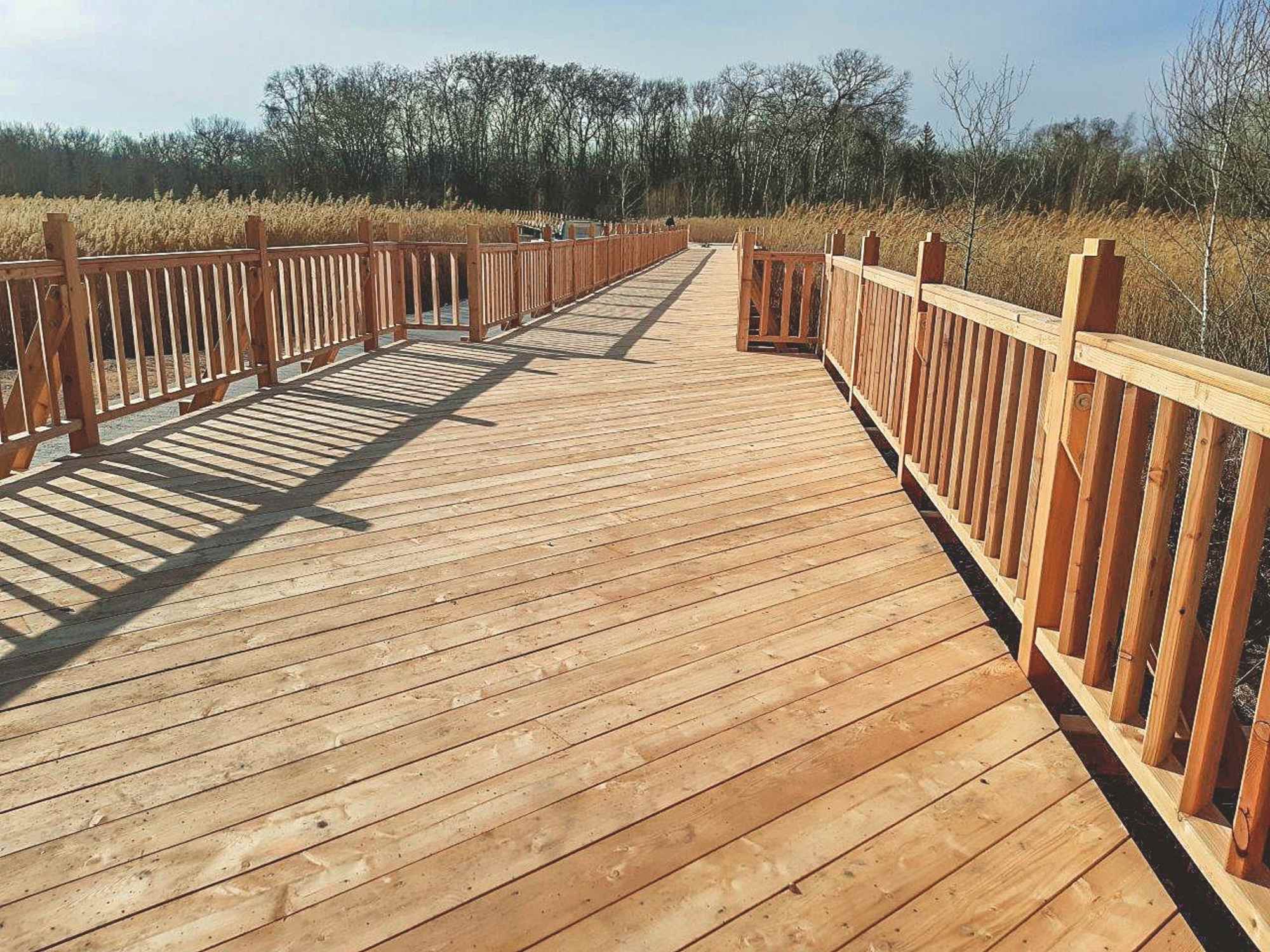 Der Josefsteg am Naturlehrpfad Obere Lobau