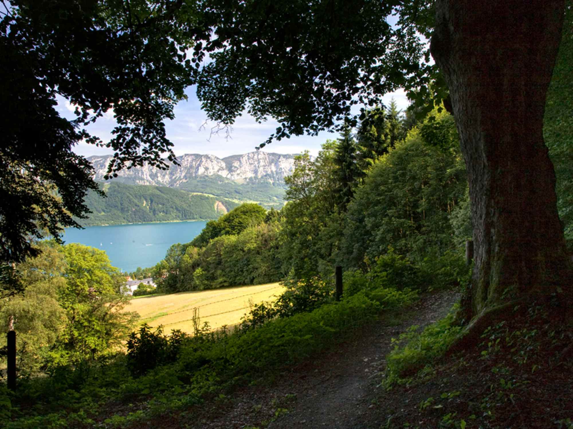 Nussdorf - Pfarrer Salettl - Westwanderweg - Reitherweg - Nussdorf