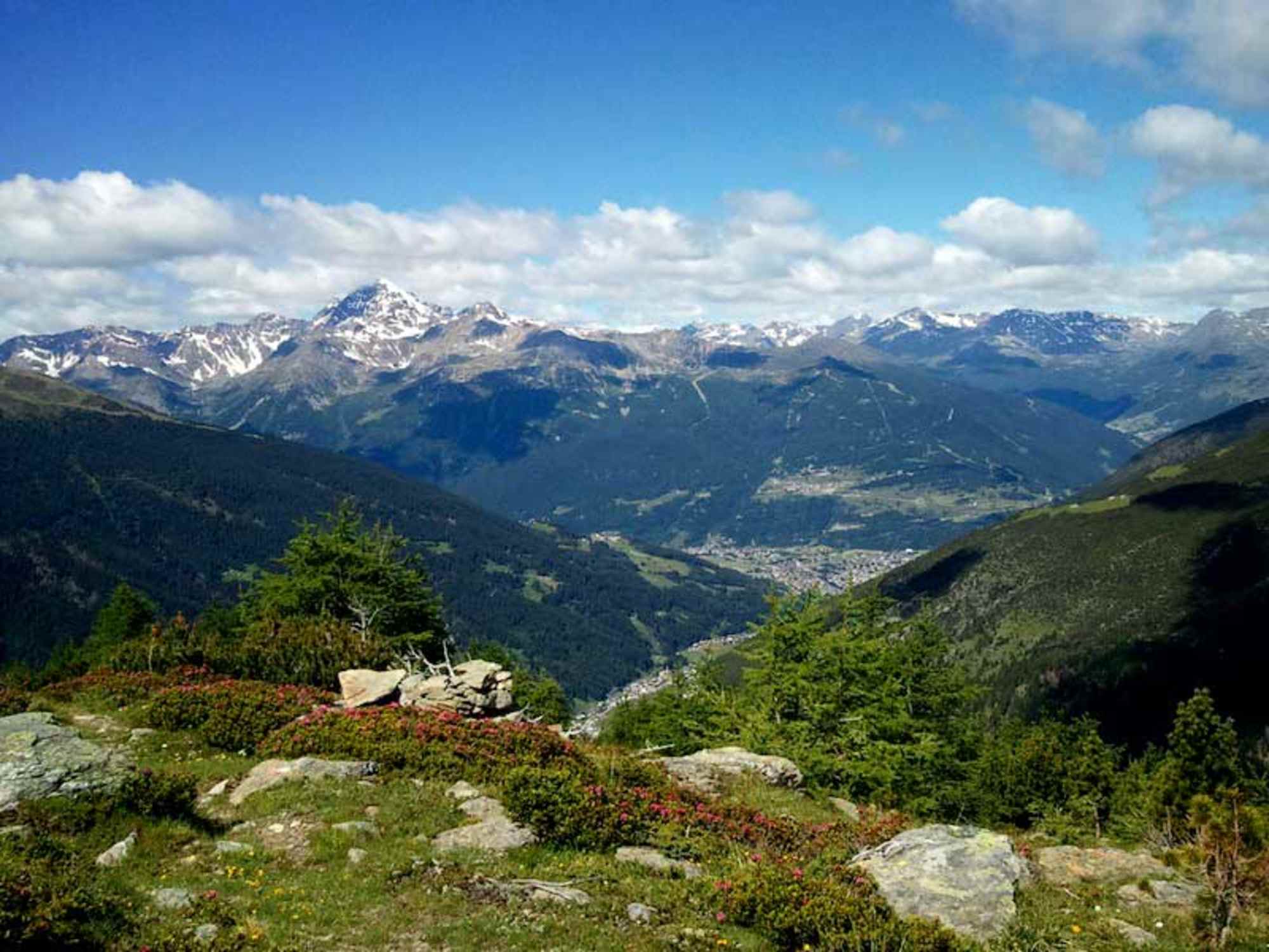 Panorama