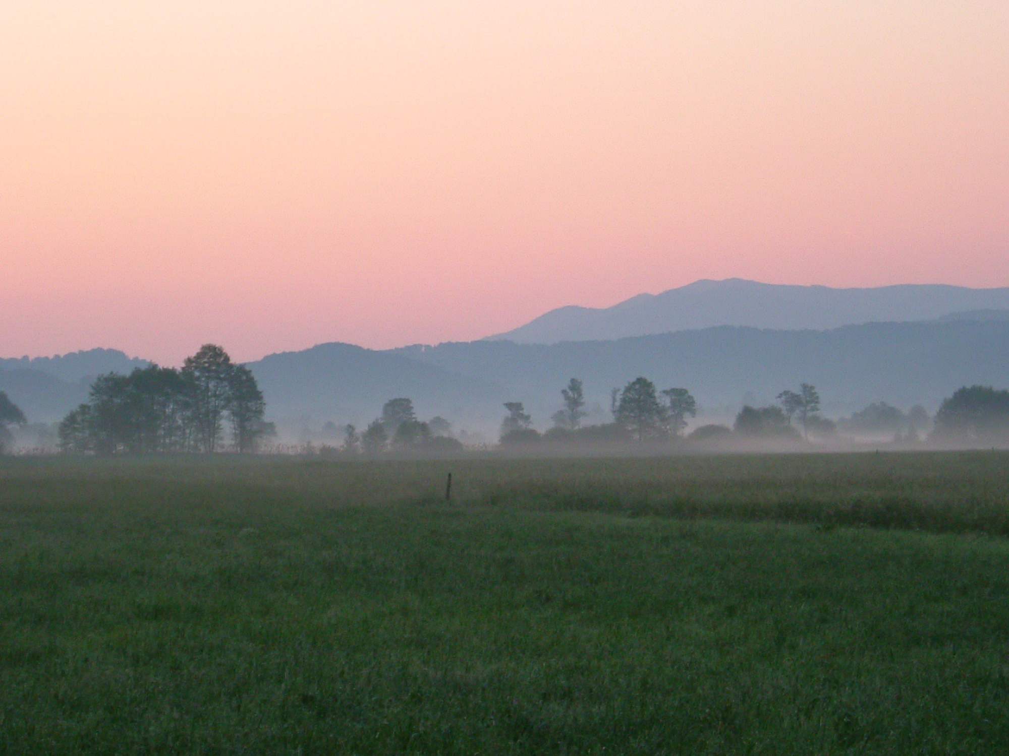 Bergener Moos Sonnenaufgang