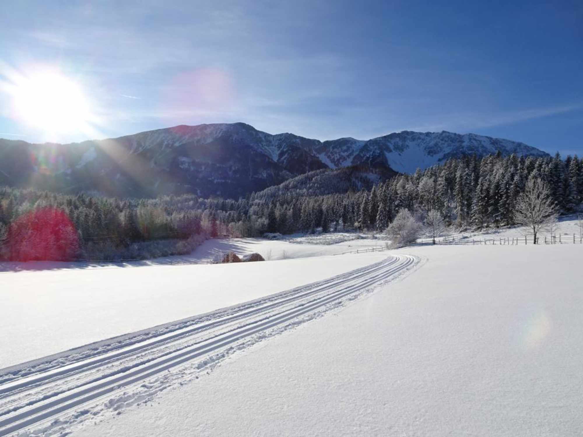 Panoramaloipe Puchberg