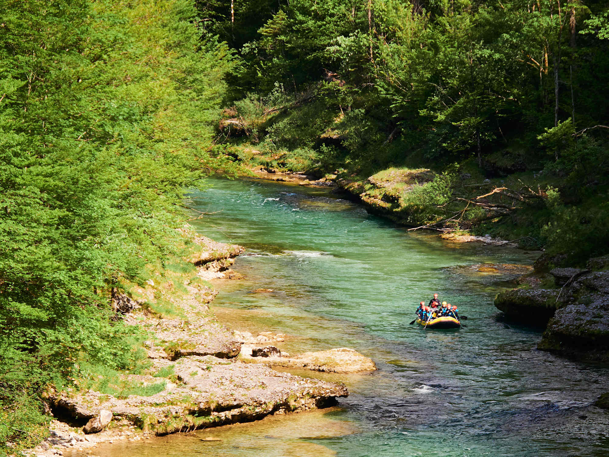Ratten auf der Salza – hier auf dem Abschnitt zwischen Wildalpen und Fachwerk