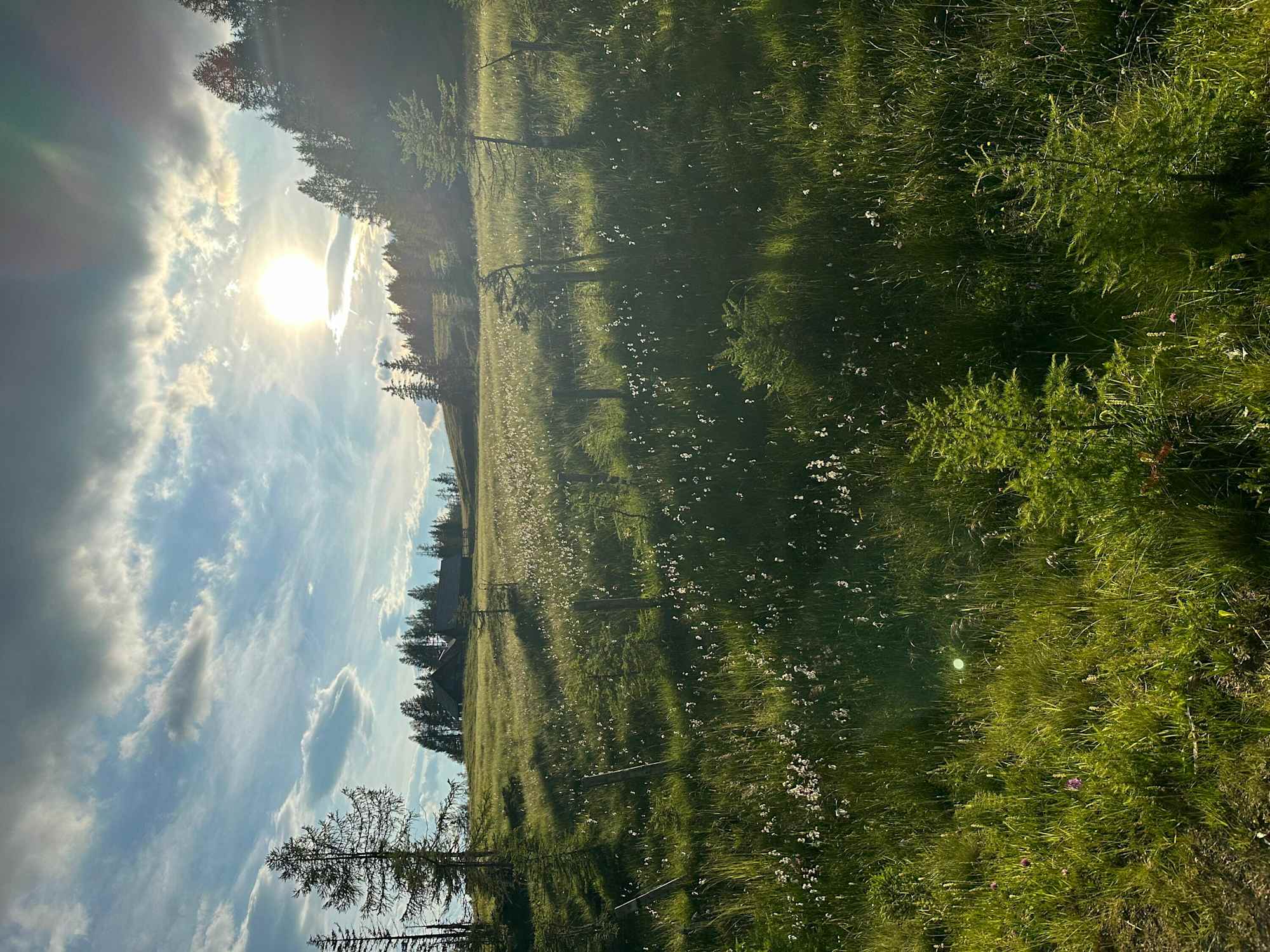 Auch die Prodingerhütte liegt am Weg zum Preber. Wer durchgehend den Forstweg bis zur Halterhütte nutzt, kommt hier vorbei.