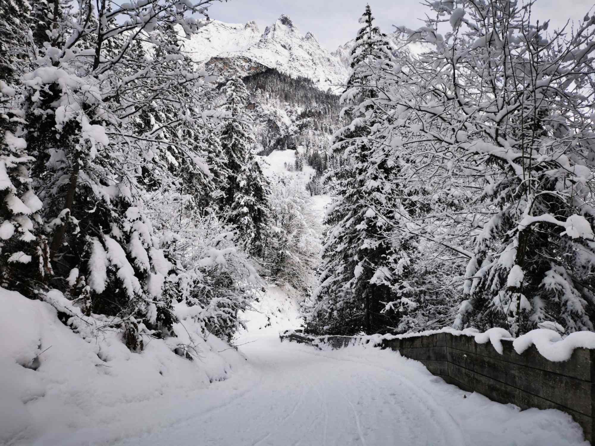 Im Halltal könnte man auch Rodeln.