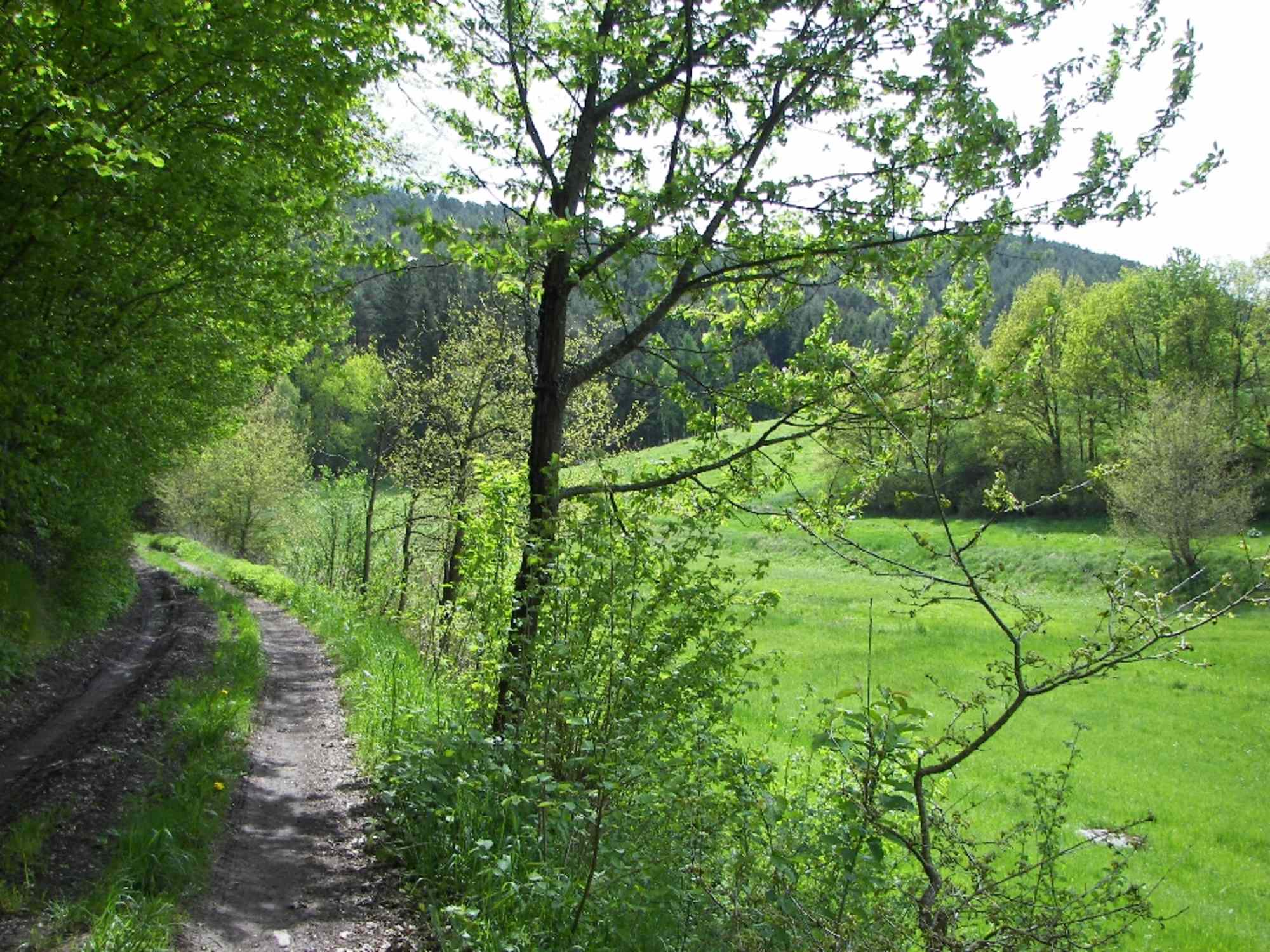 Stadel
