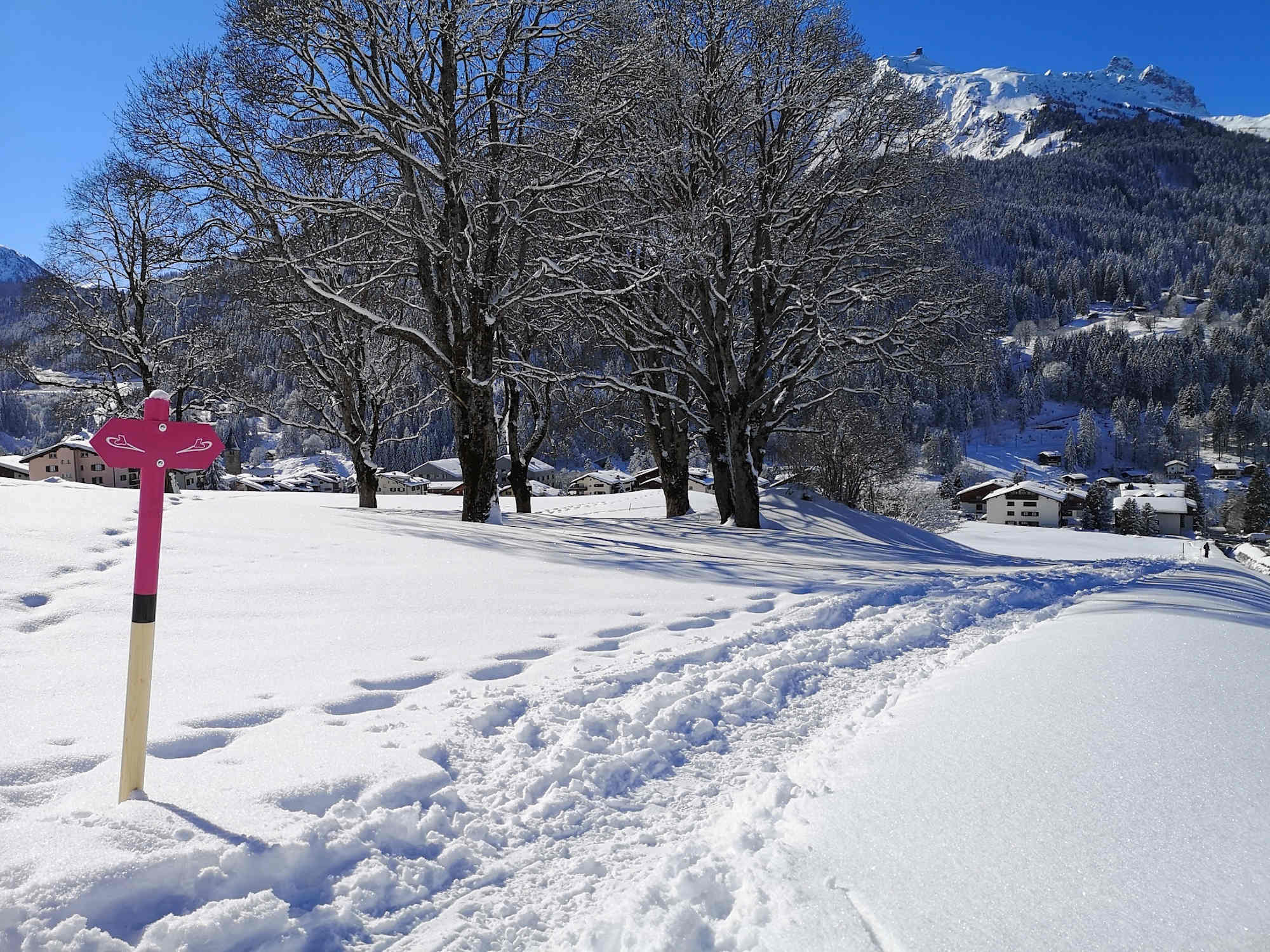 Der Schneeschuh-Trail ist gut markiert.