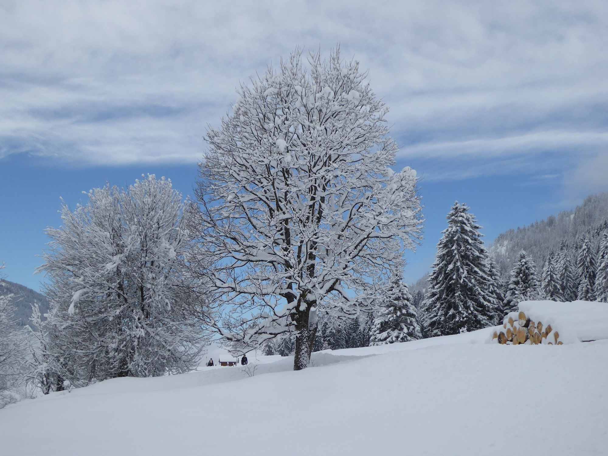 Traumhafte Winterlandschaft