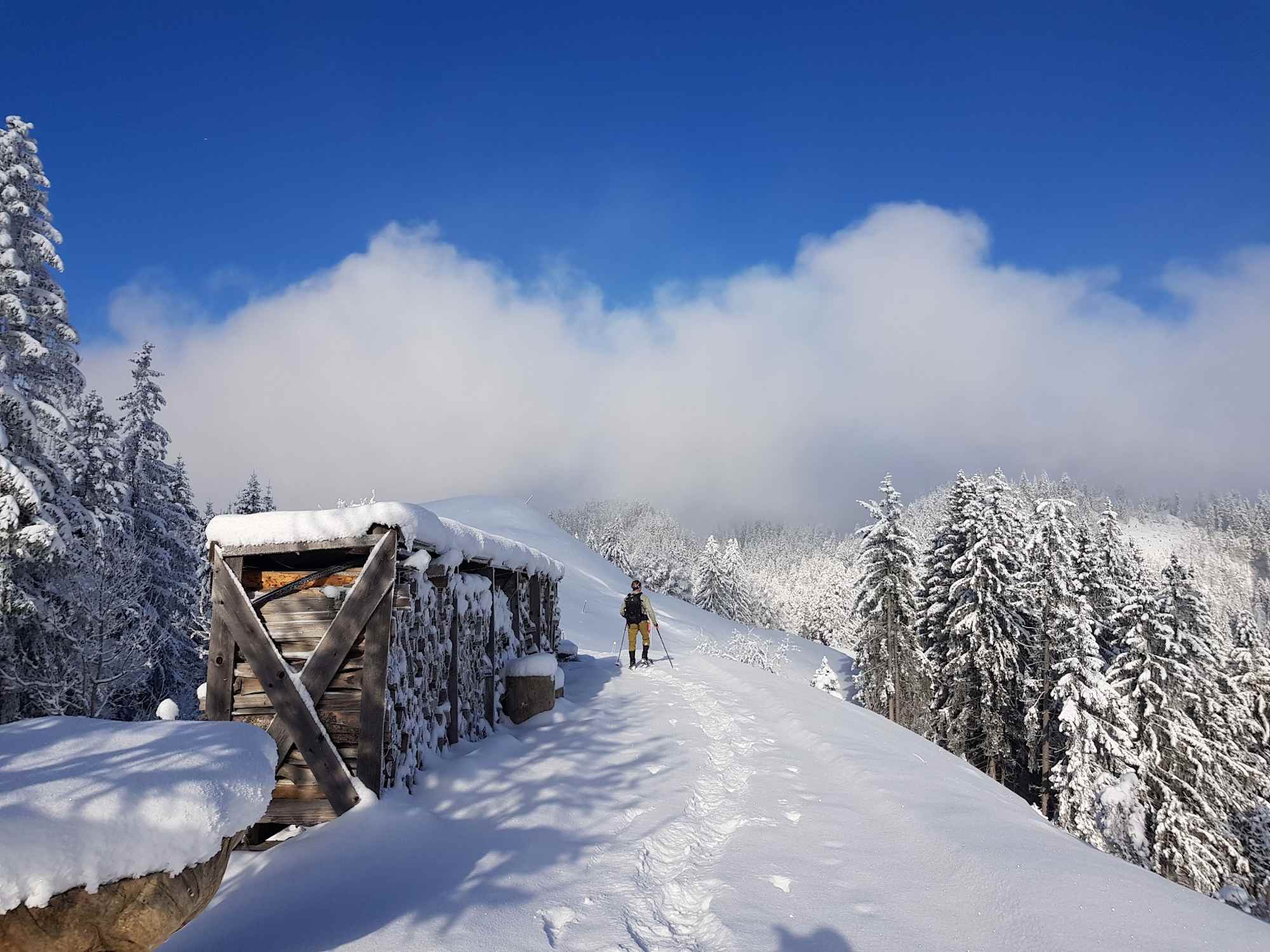 Ein herrlicher Wintertag