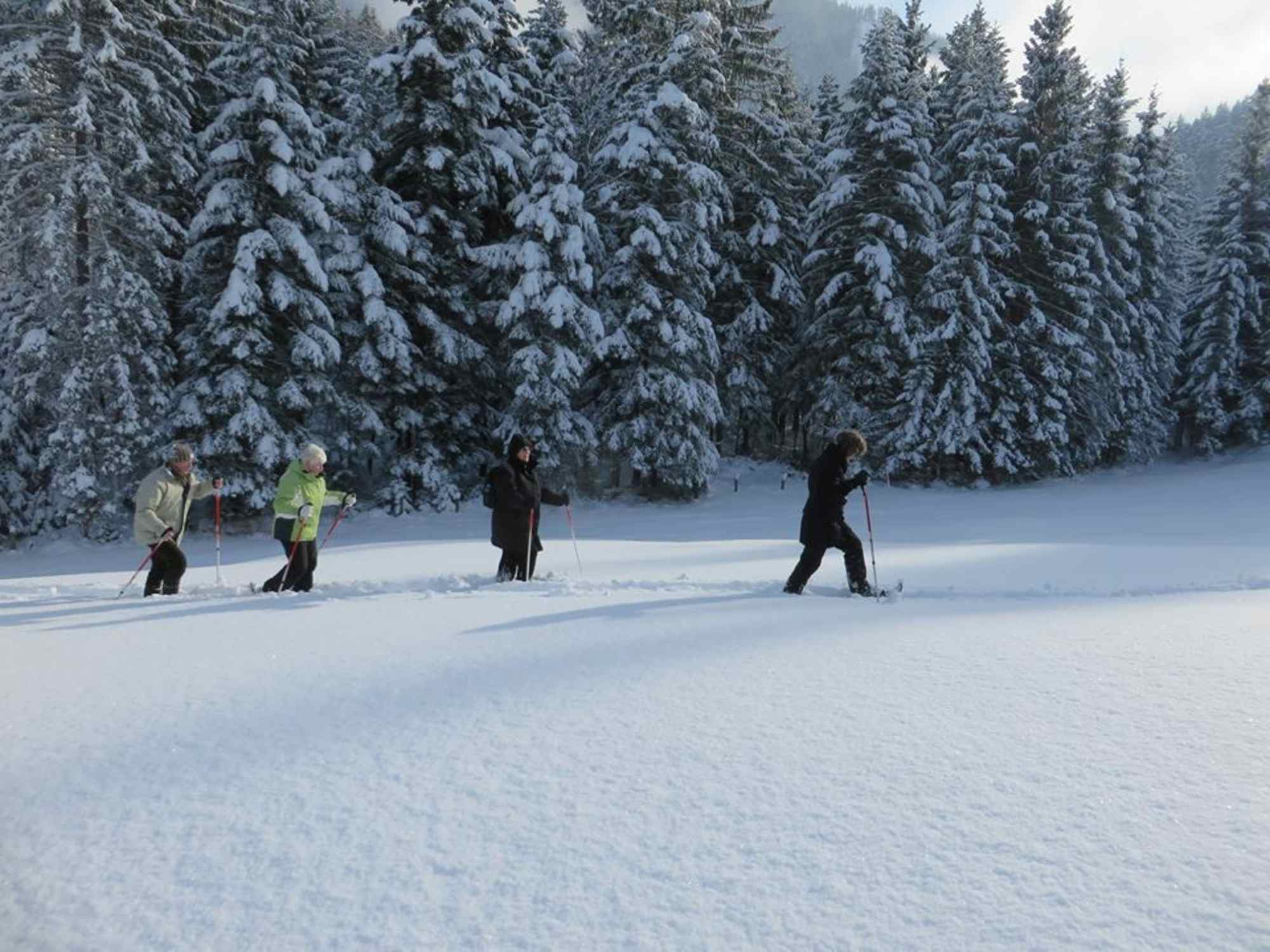 Schneeschuhwandern Brandenberg