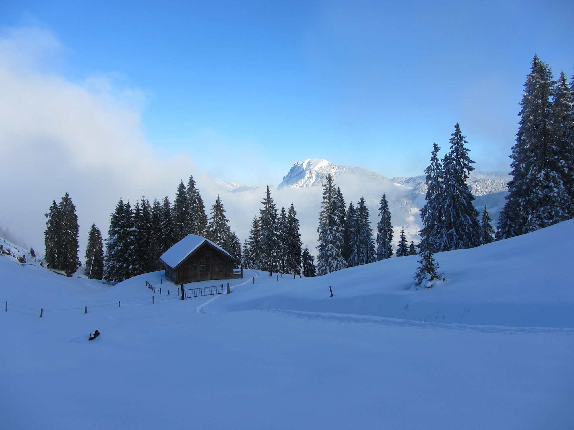 Schneeschuhtrail auf der First über dem Nebelmeer.