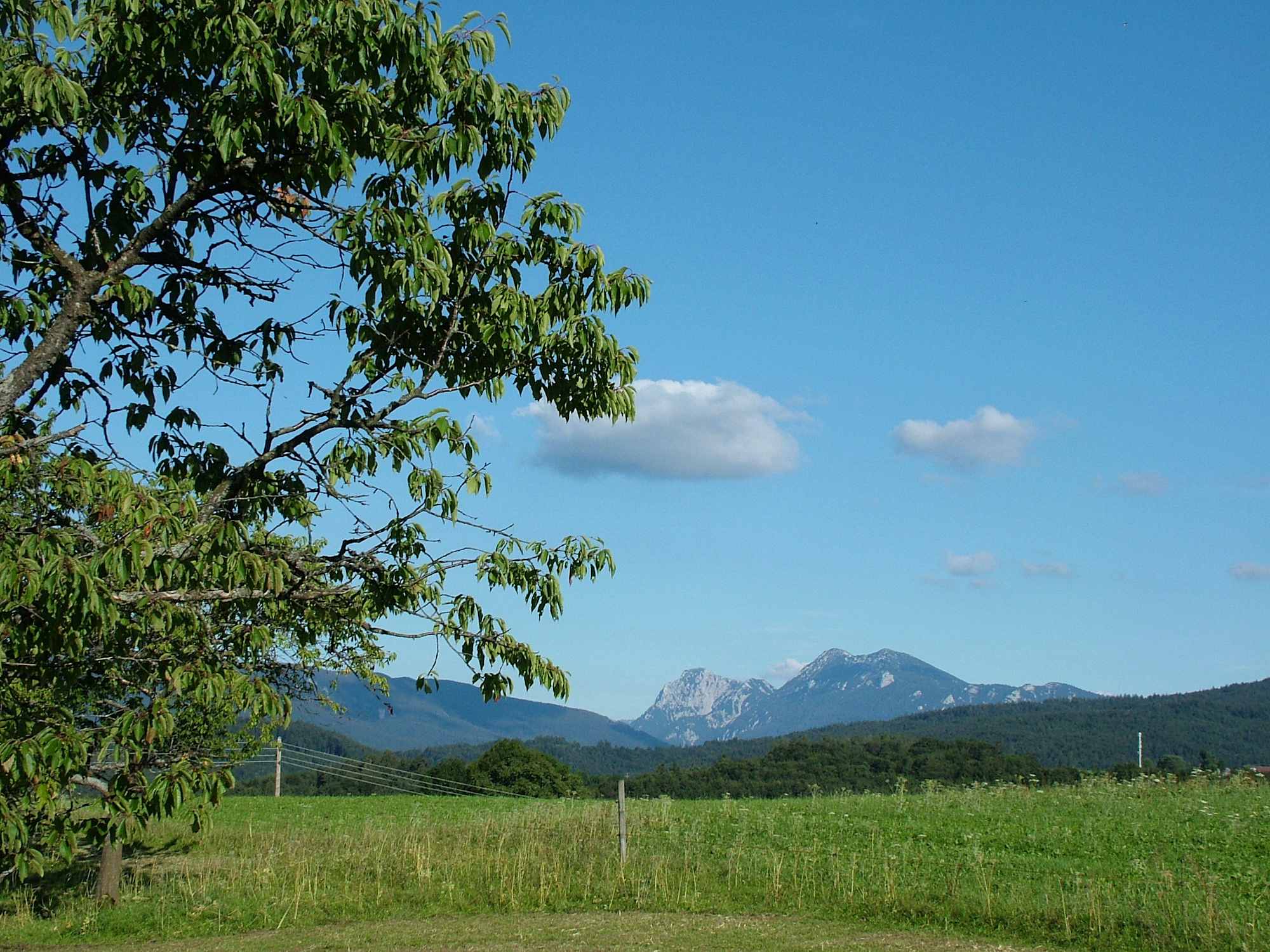 Siegsdorfer Sommerlandschaft 