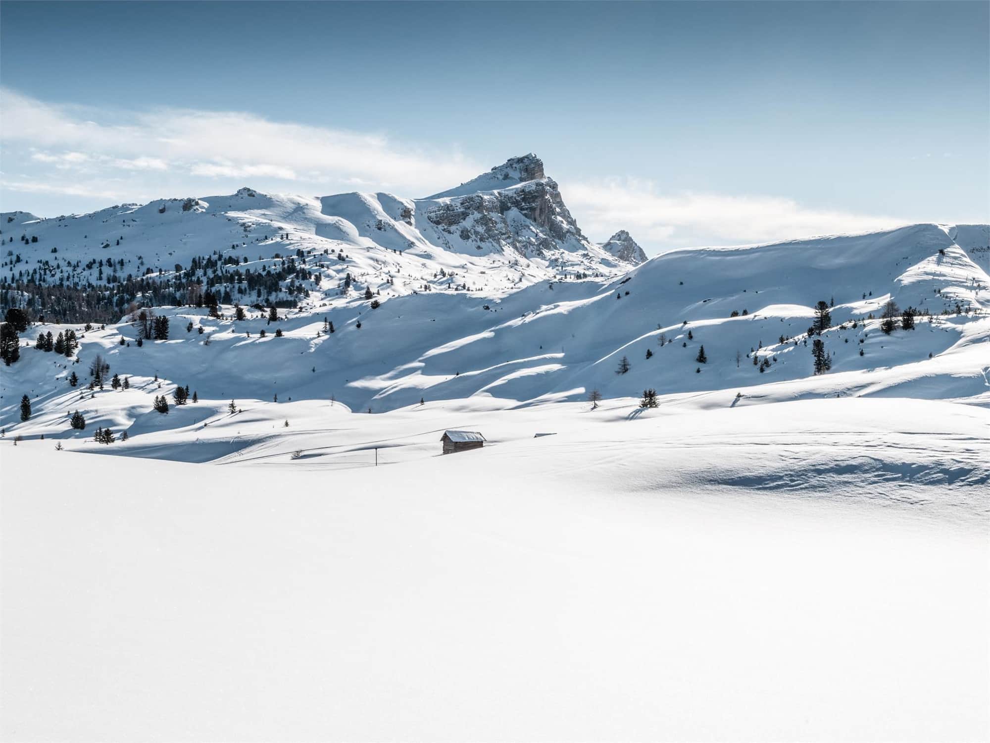 Störes Wiesen im Winter