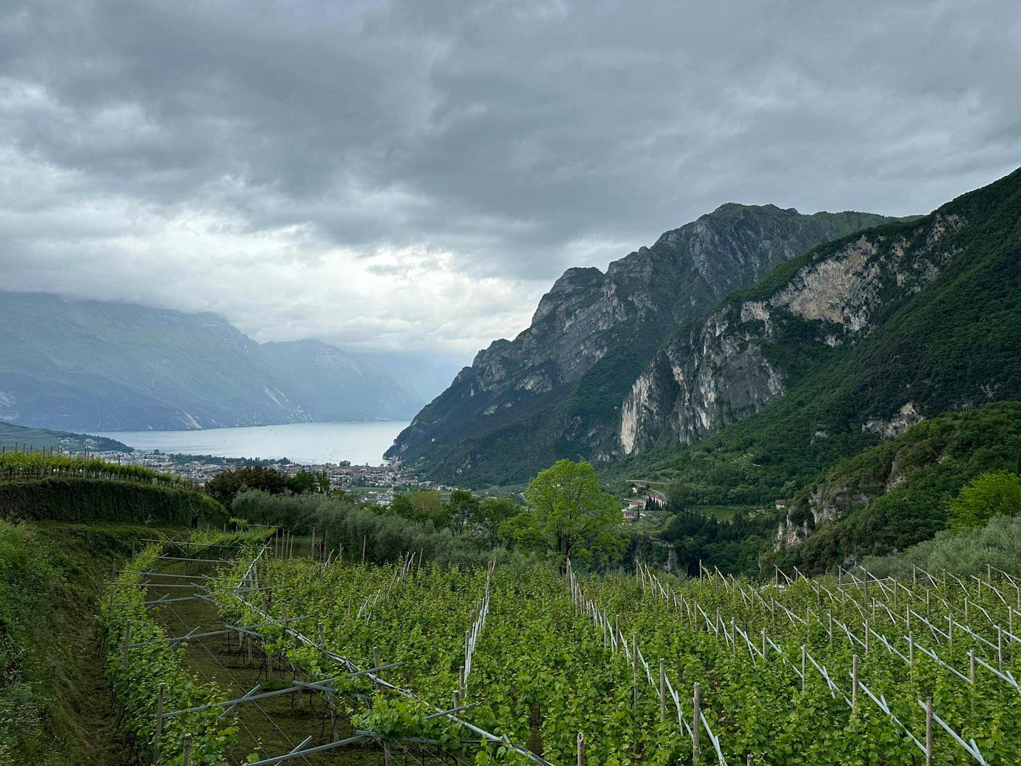 Blick von Tenno auf den Gardasee