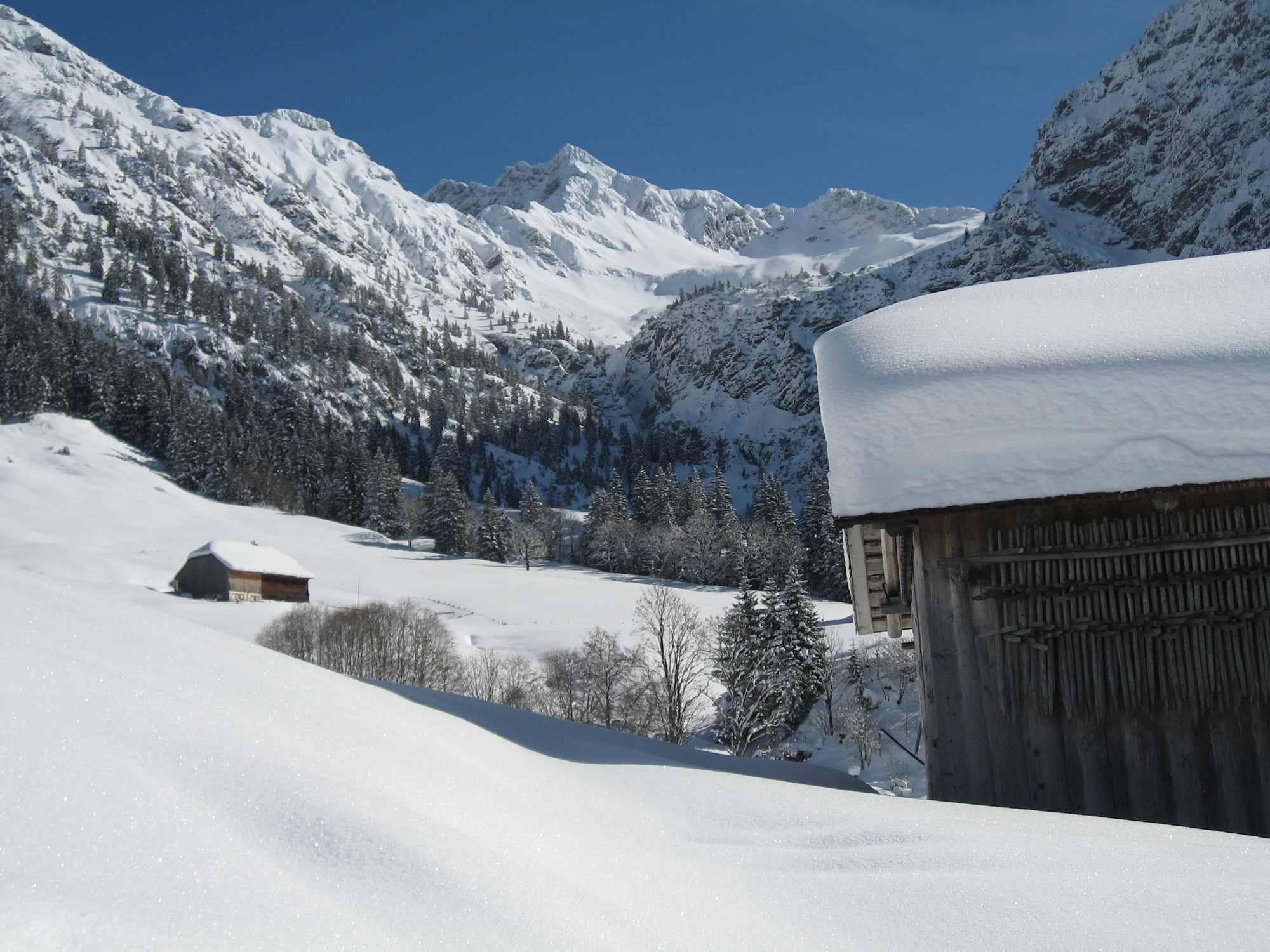 An der Gaisalpe.