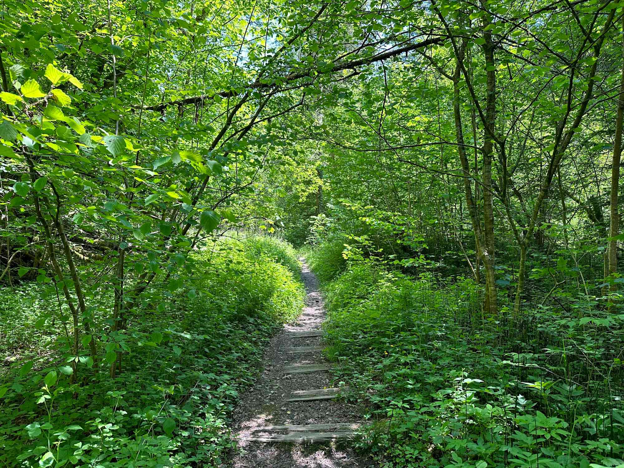 Der Trail verläuft auf einer alten Bahntrasse