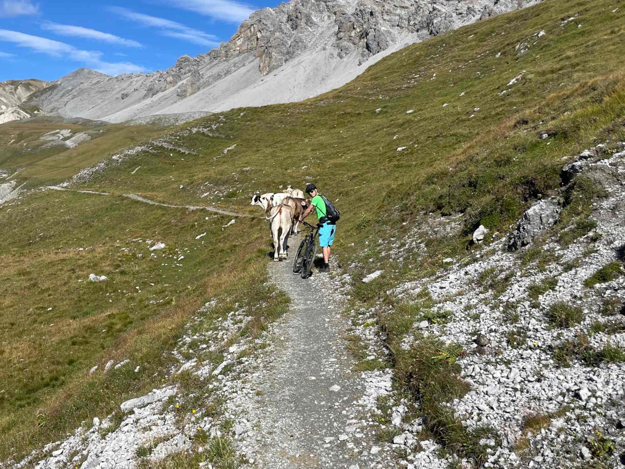 Vom Umbrailpass in Richtung Bocchetta di Forcola