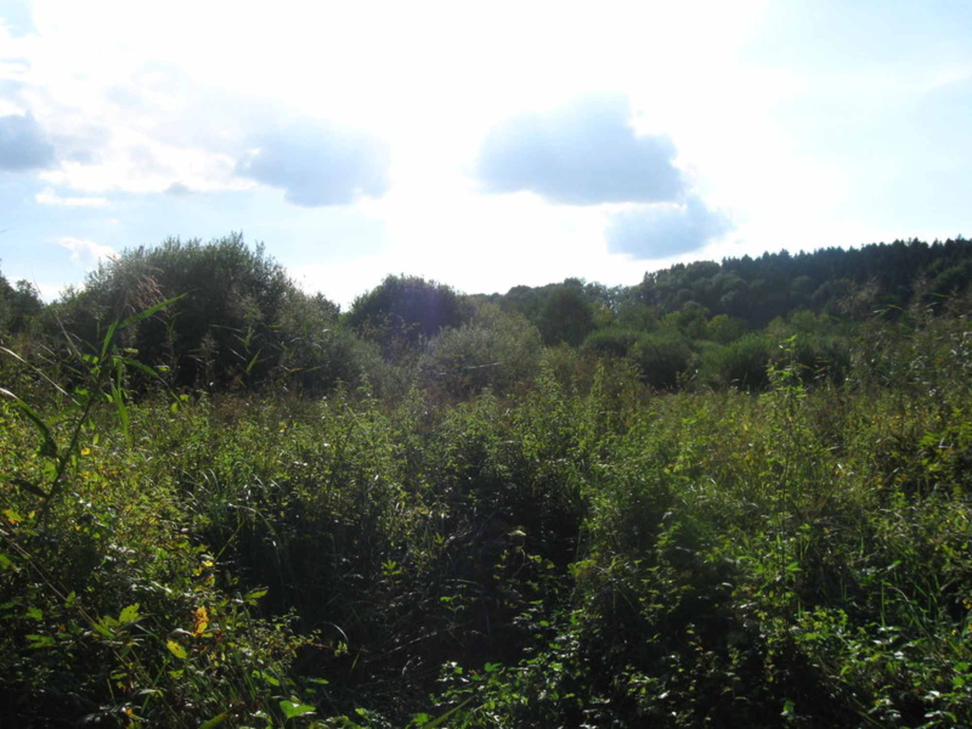 Von Dorf zu Dorf im Almtal