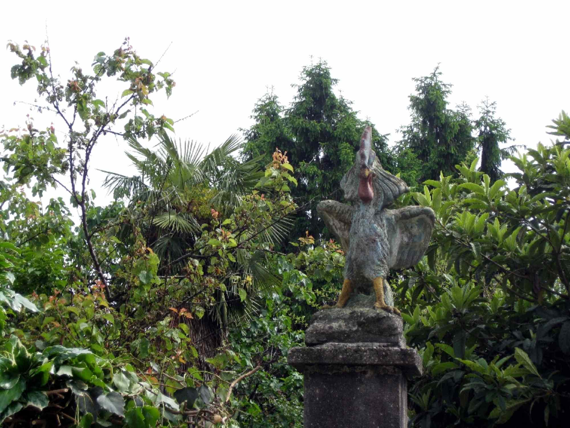 Cerro