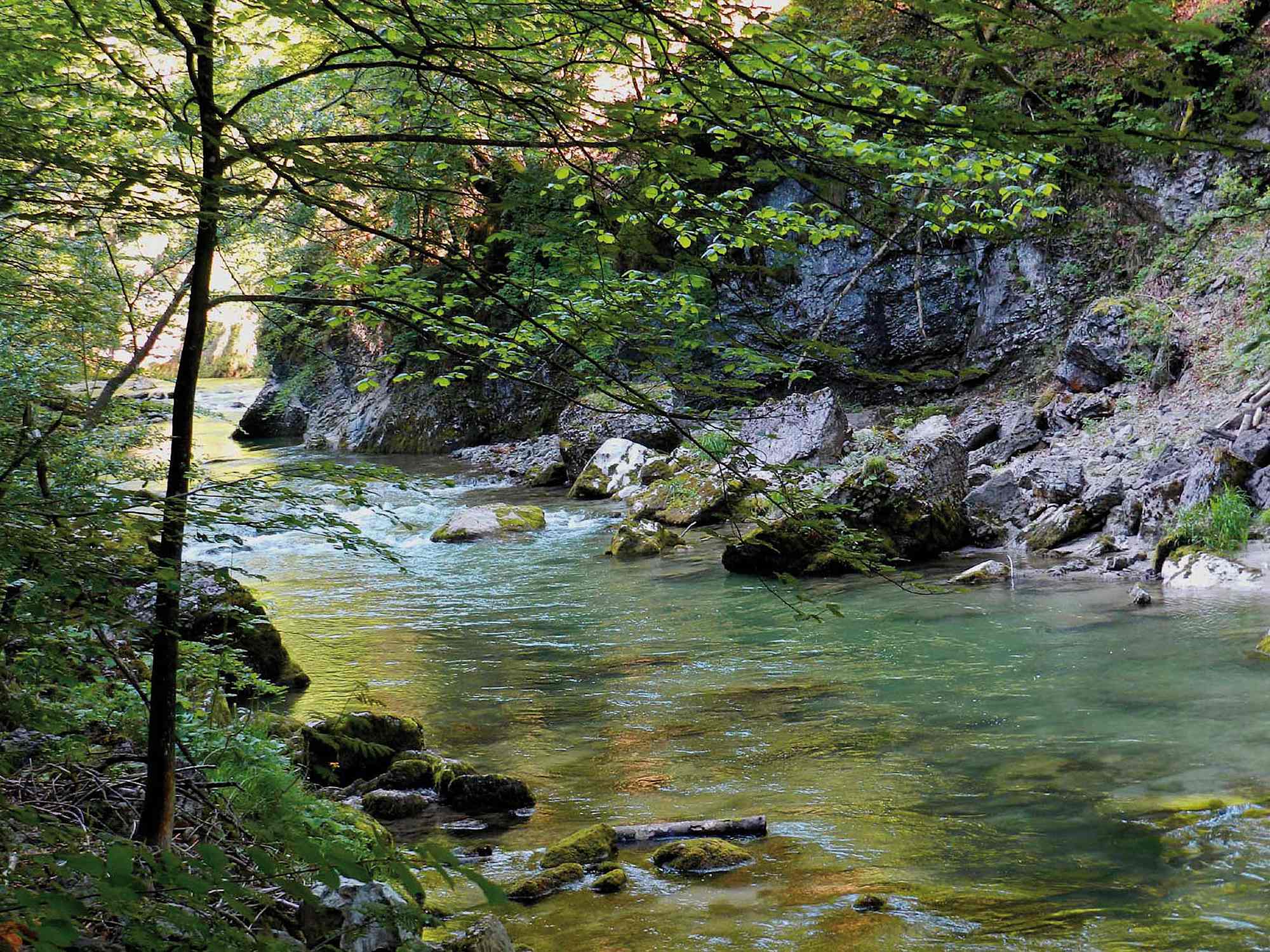 Vordere Tormäuer mit Erlauf