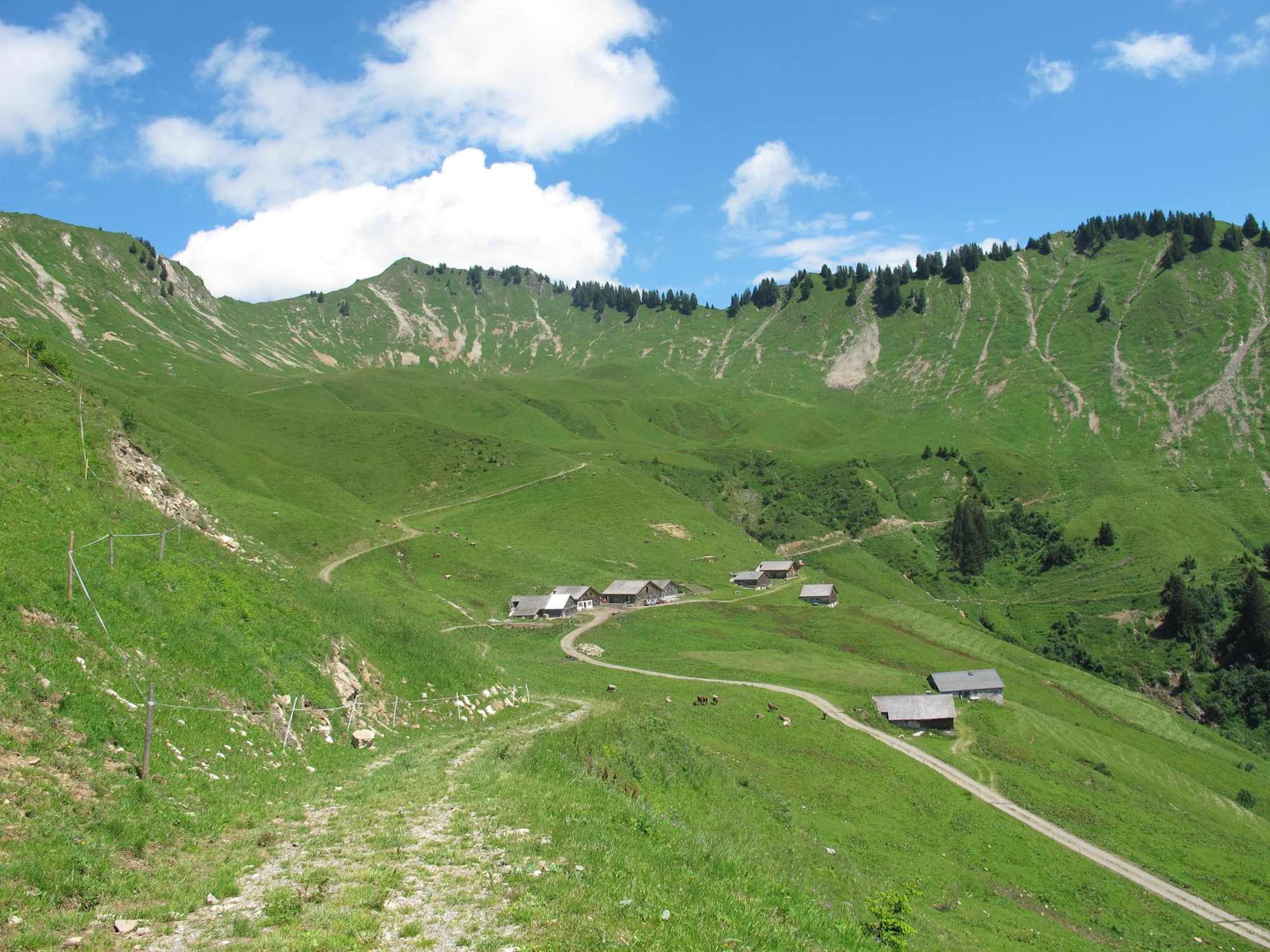 Die Alpe Sentum