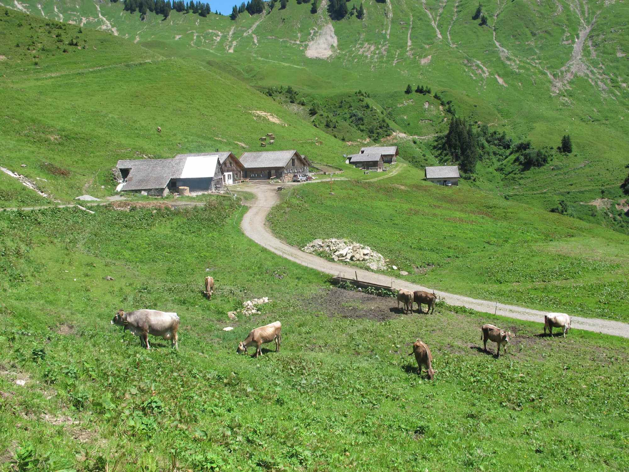 Walser Alpsiedlung
