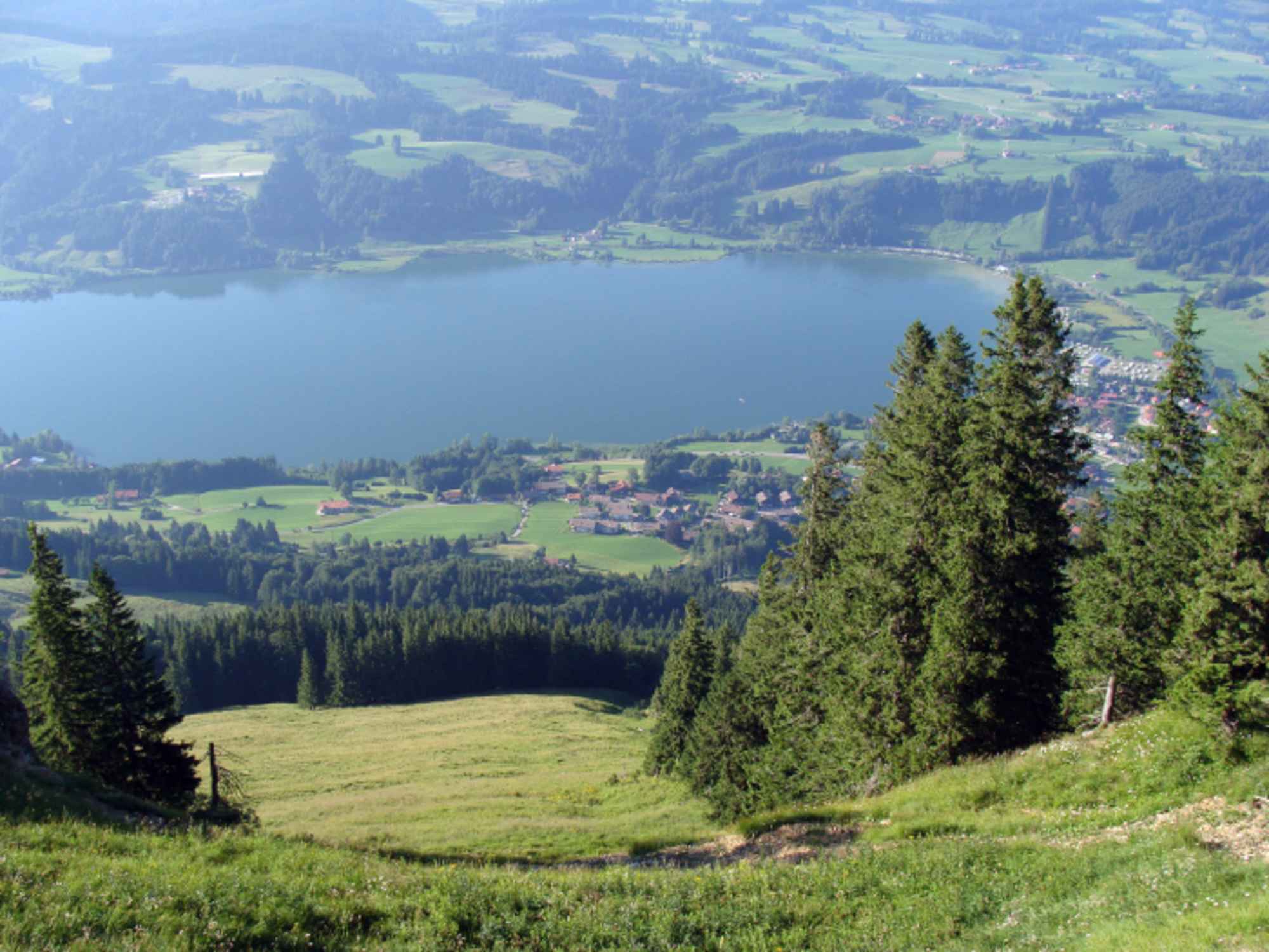 Tiefblick zum Alpsee