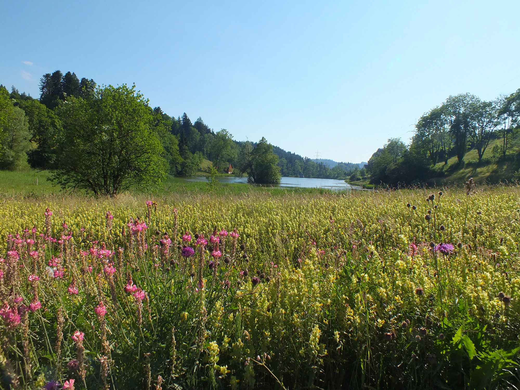 Industrie- und Naturweg
