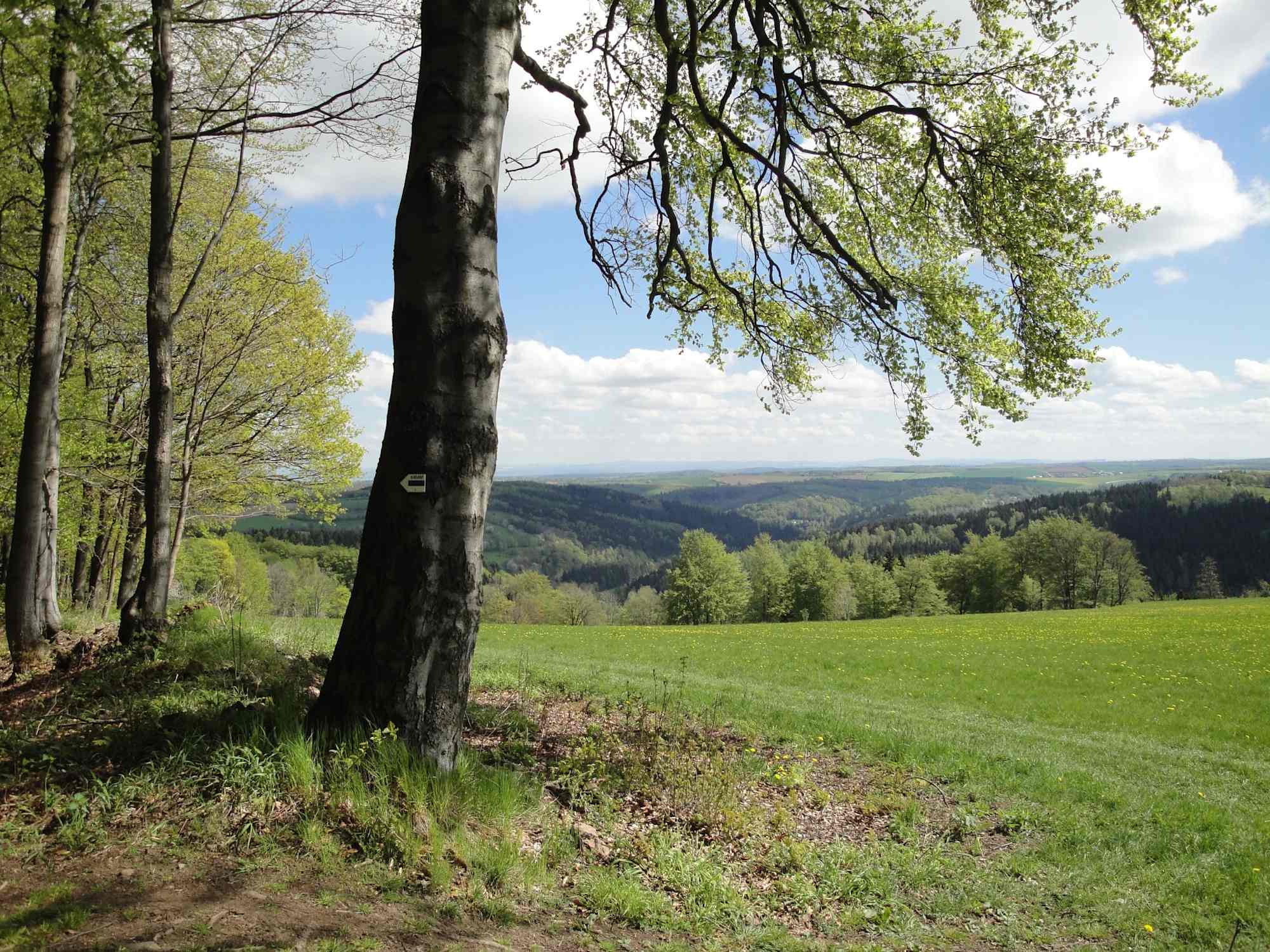 Vom Geisingberg
