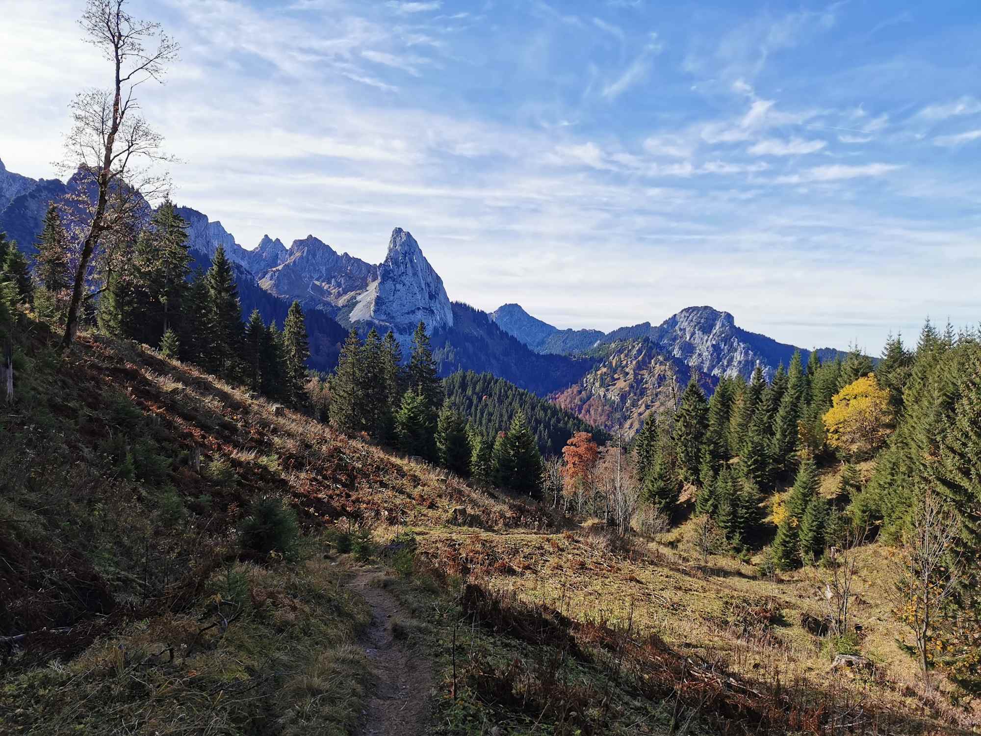 Auf dem Weg zur Kenzenhütte